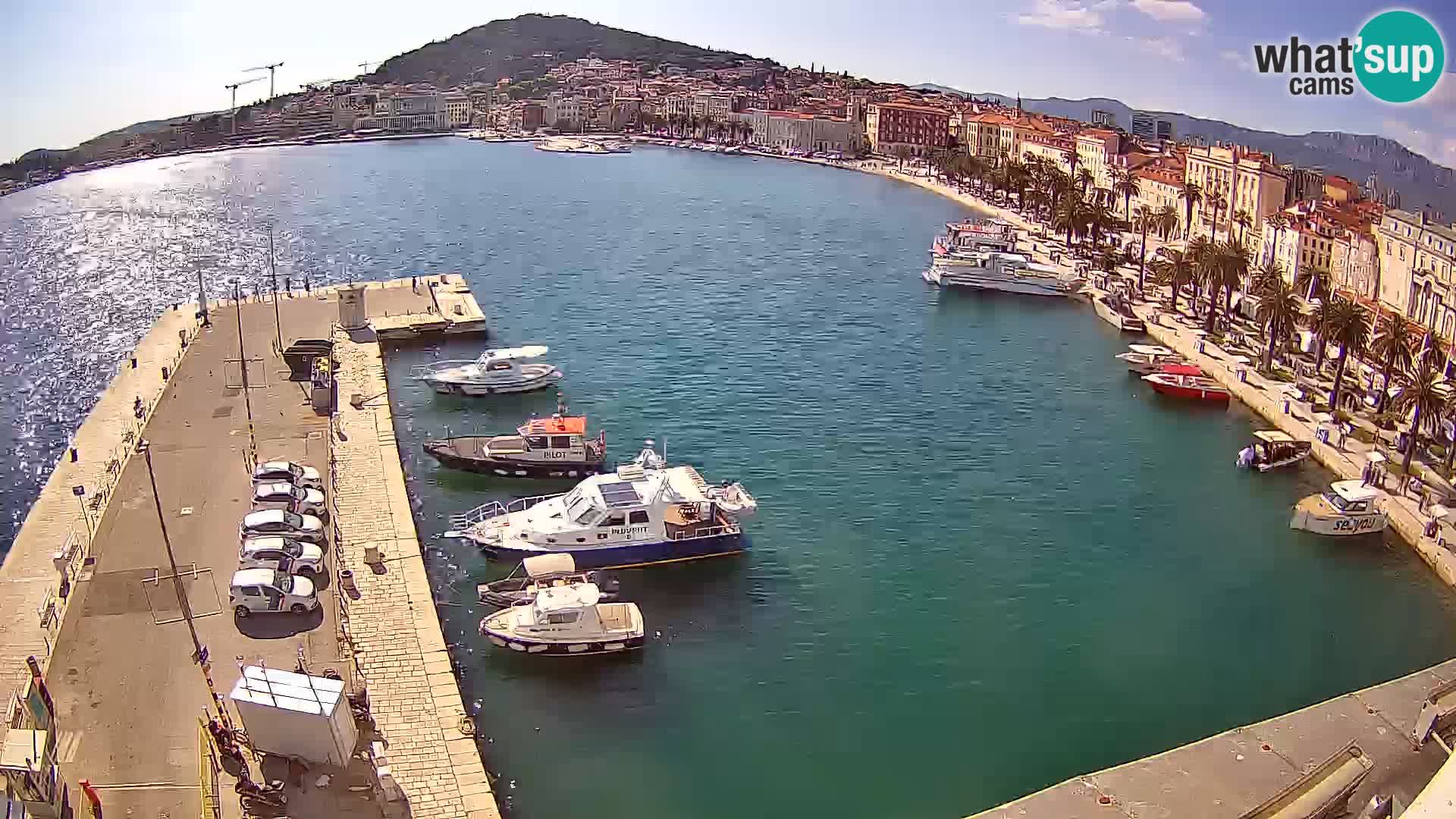 Split v živo panoramska kamera