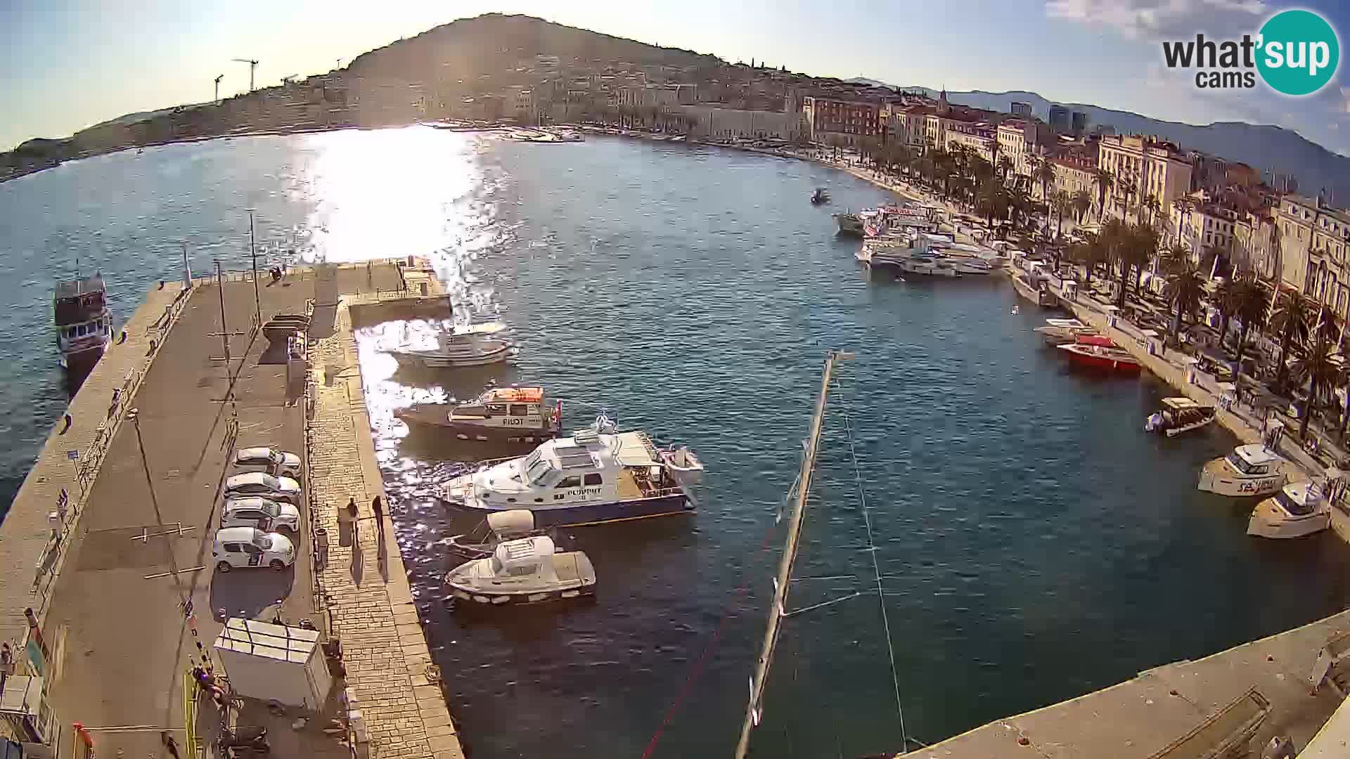 Split v živo panoramska kamera