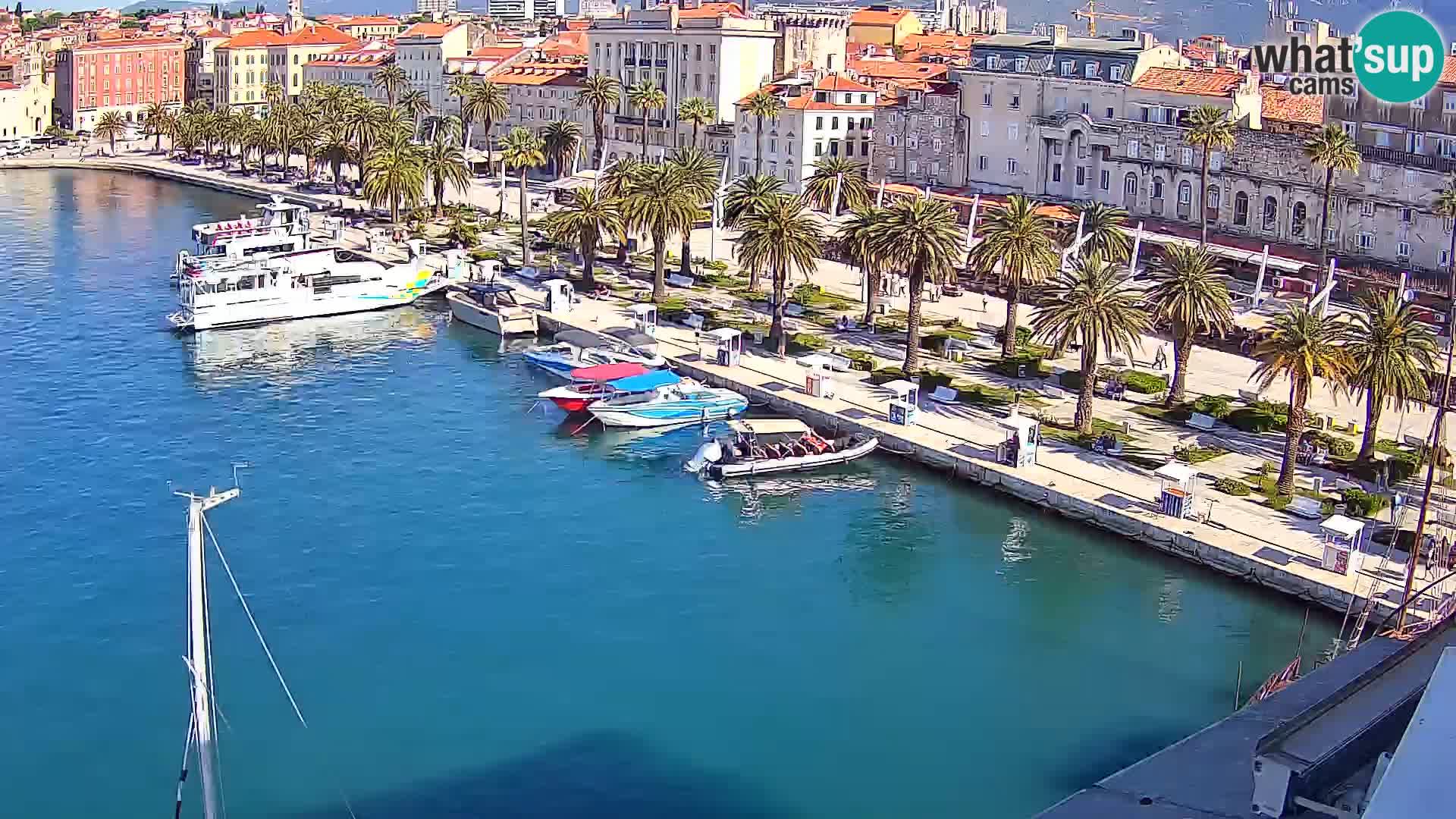 Camera en vivo Split puerto