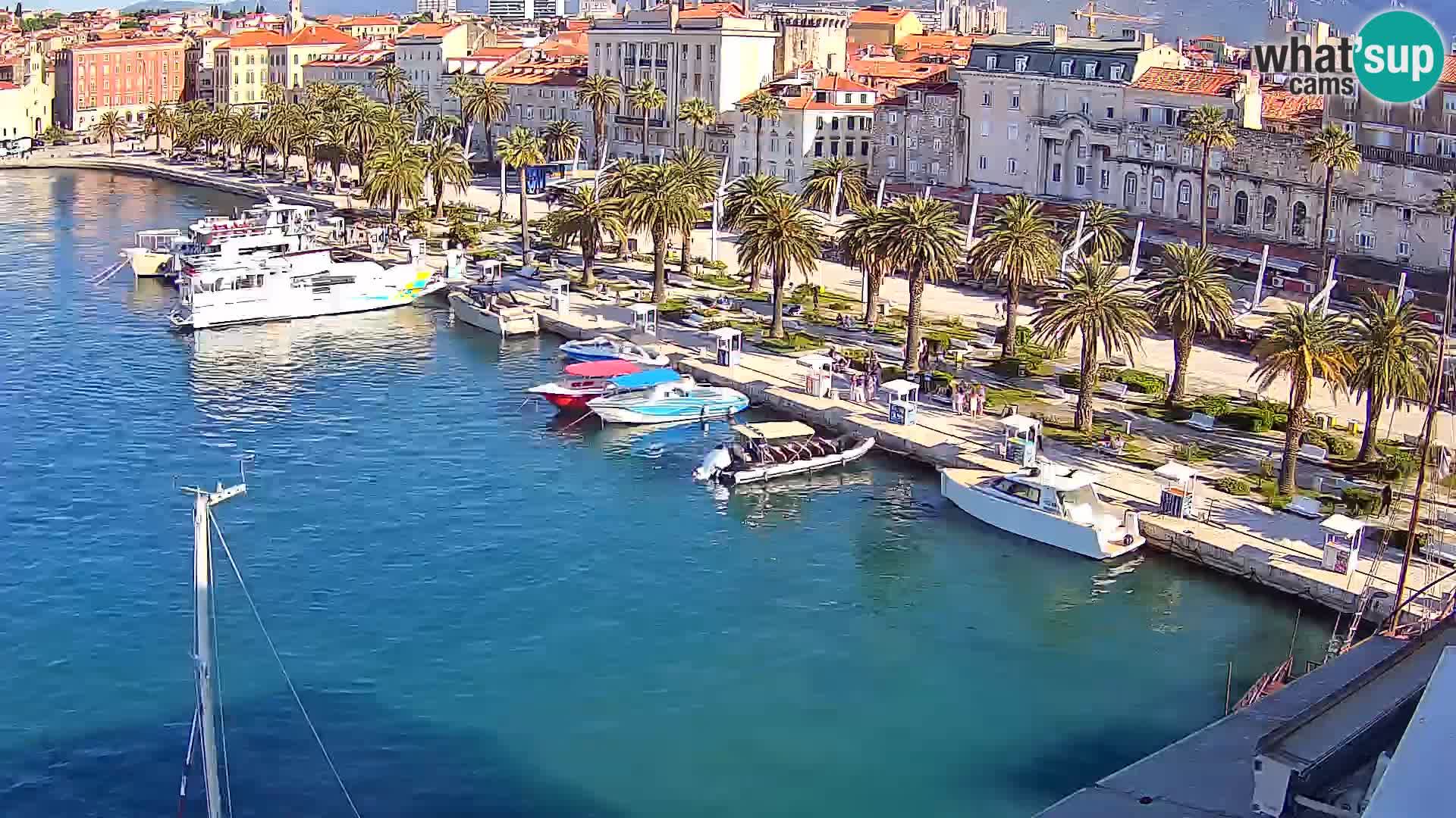 Split v živo panoramska kamera