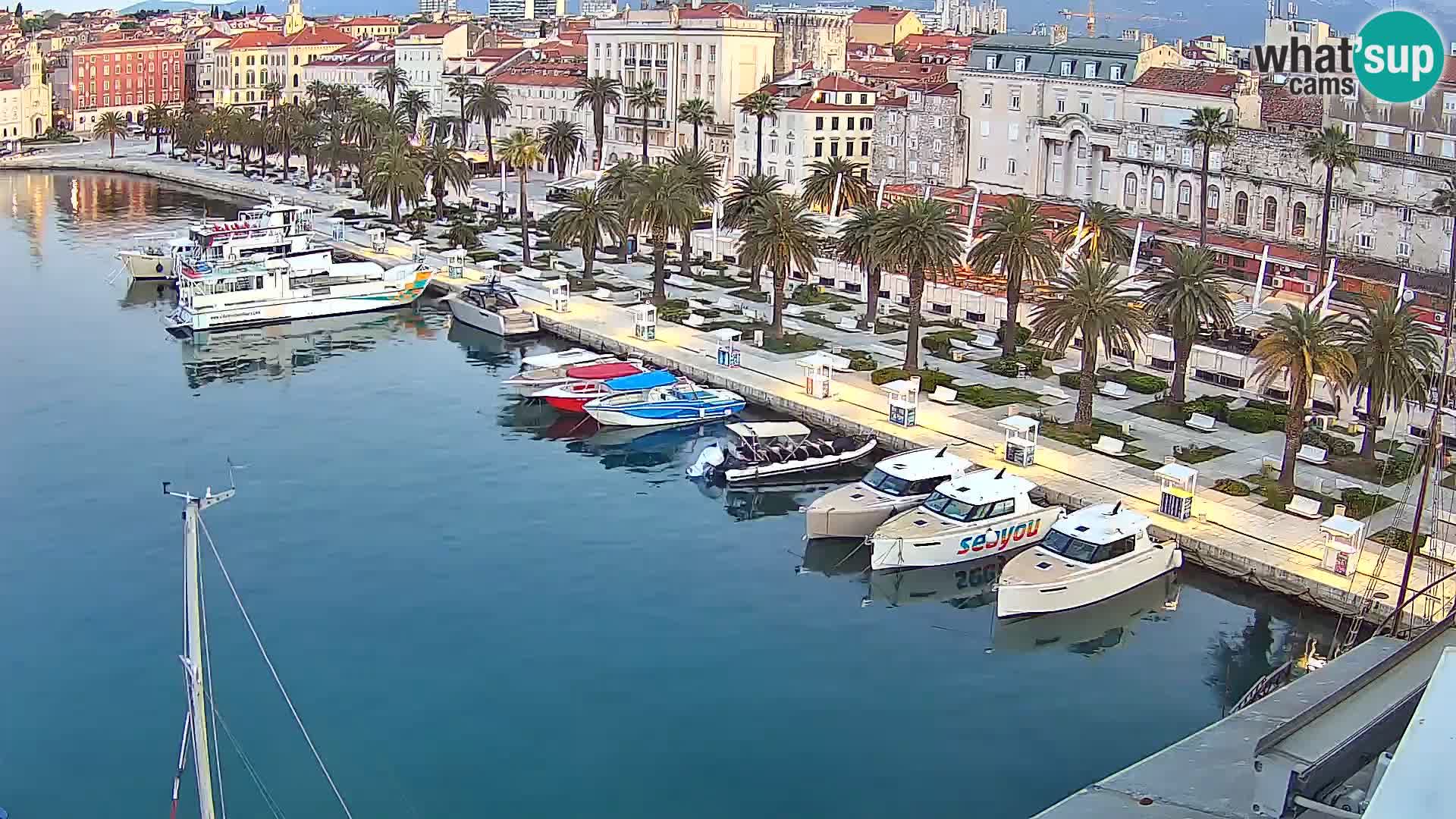 Camera en vivo Split puerto