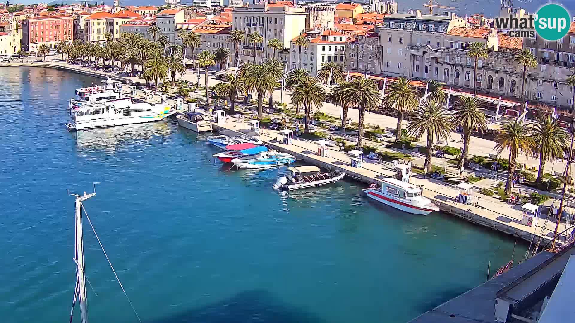 Webcam LIVE Split riva and port