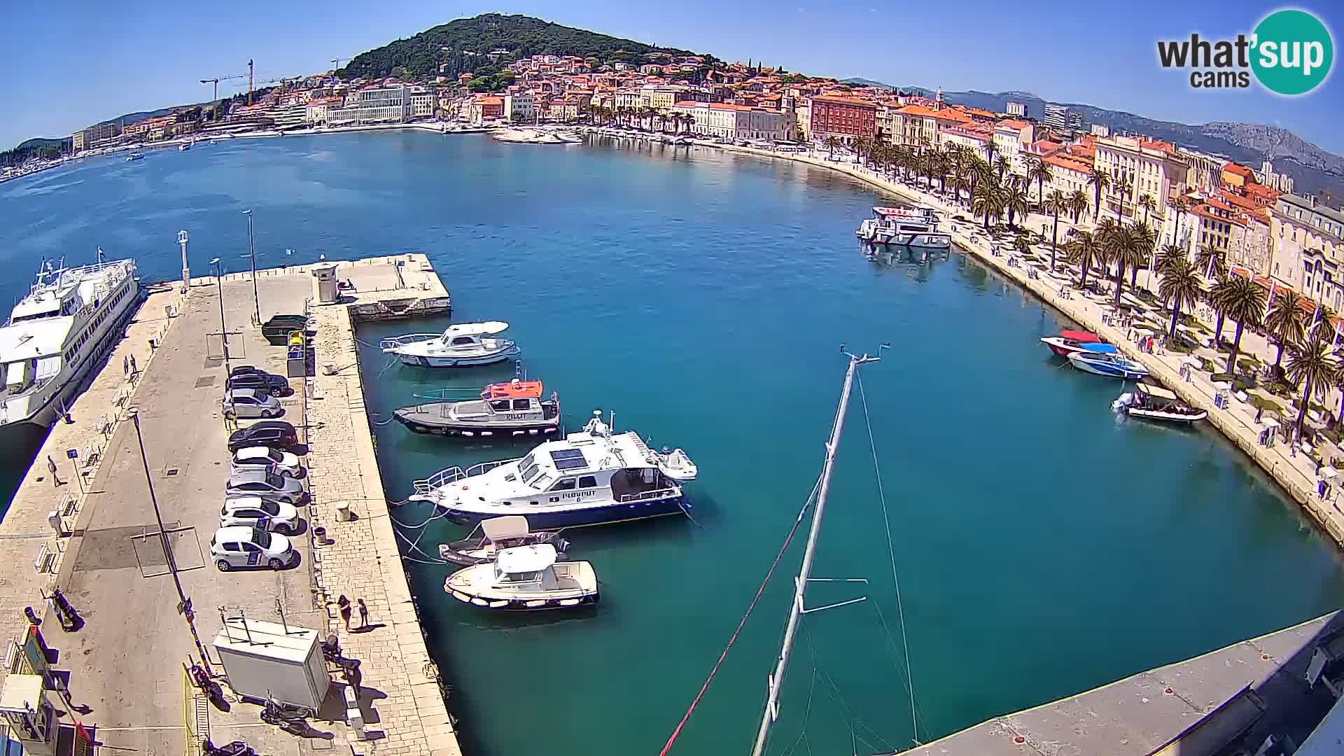 Split panorama en vivo