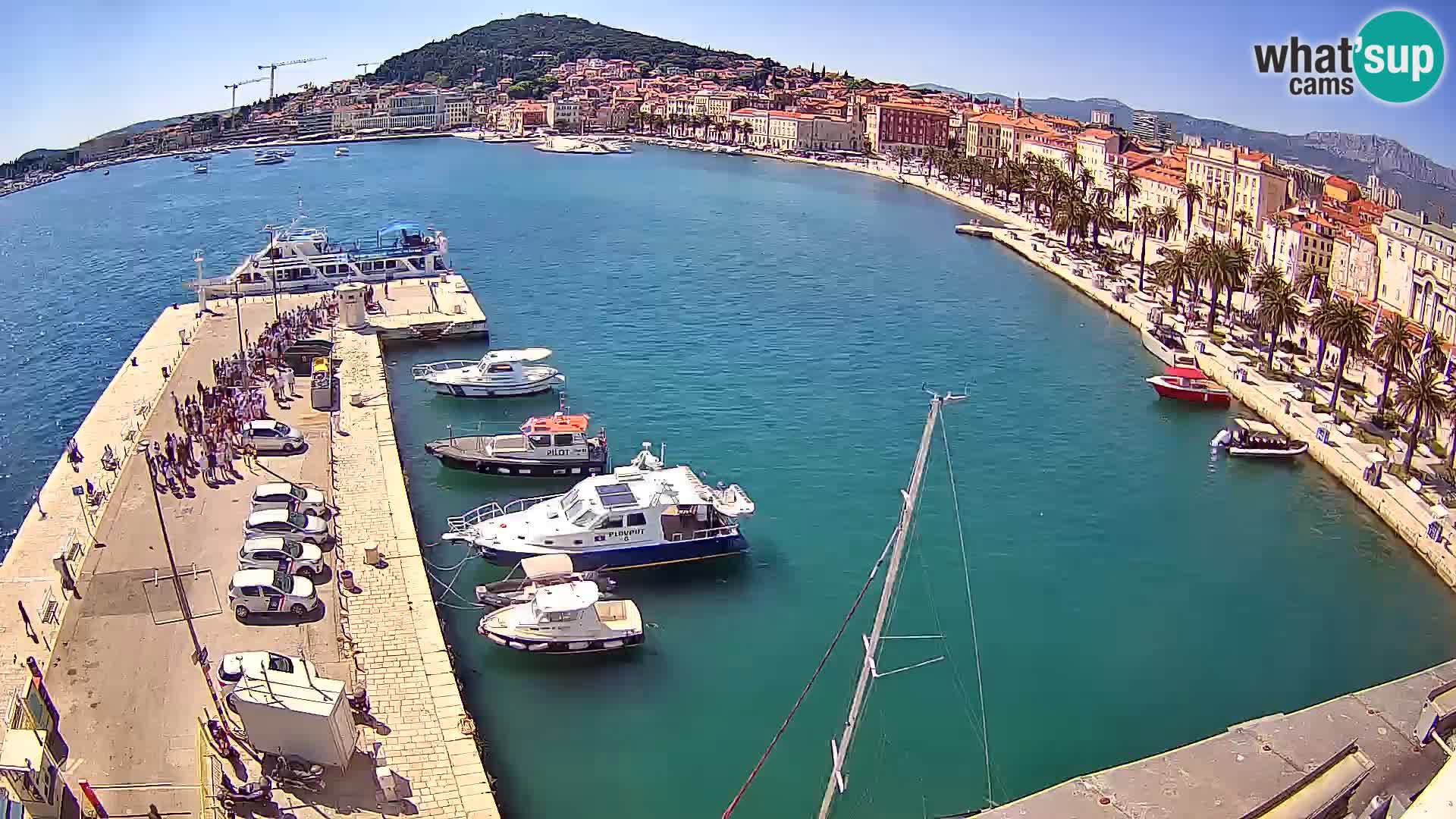 Webcam LIVE Split riva and port