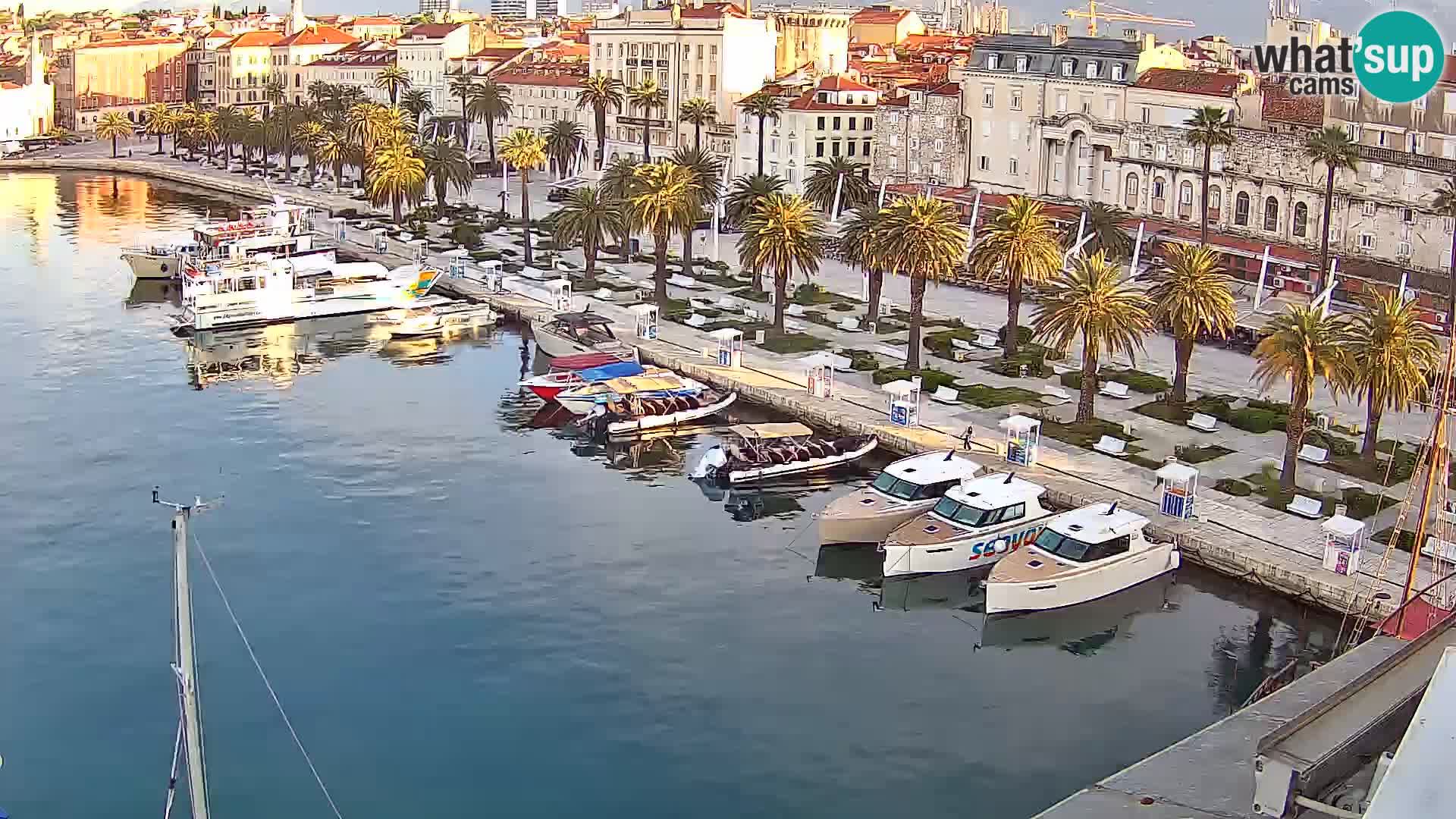 Camera en vivo Split puerto