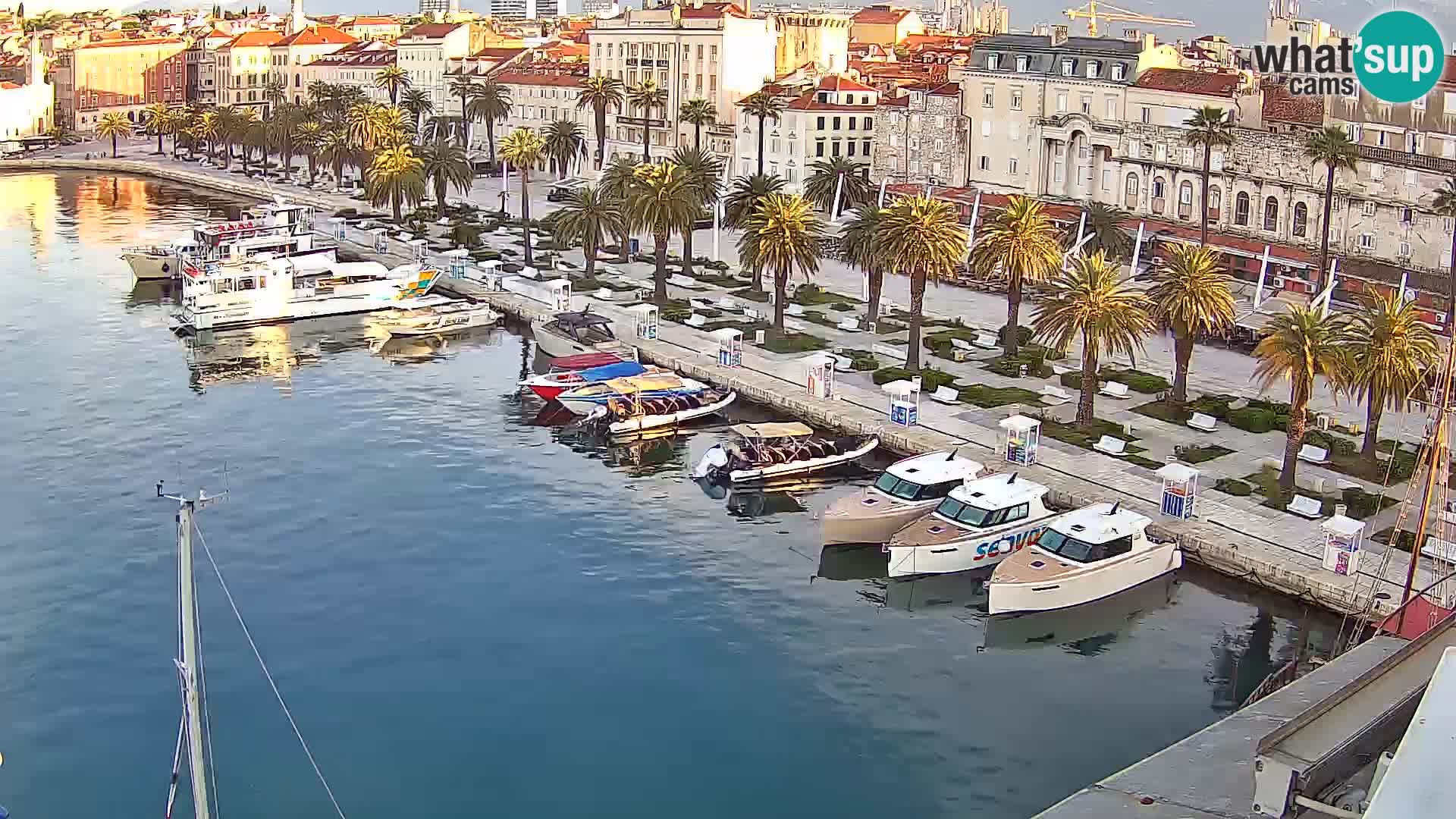 Split livecam panorama