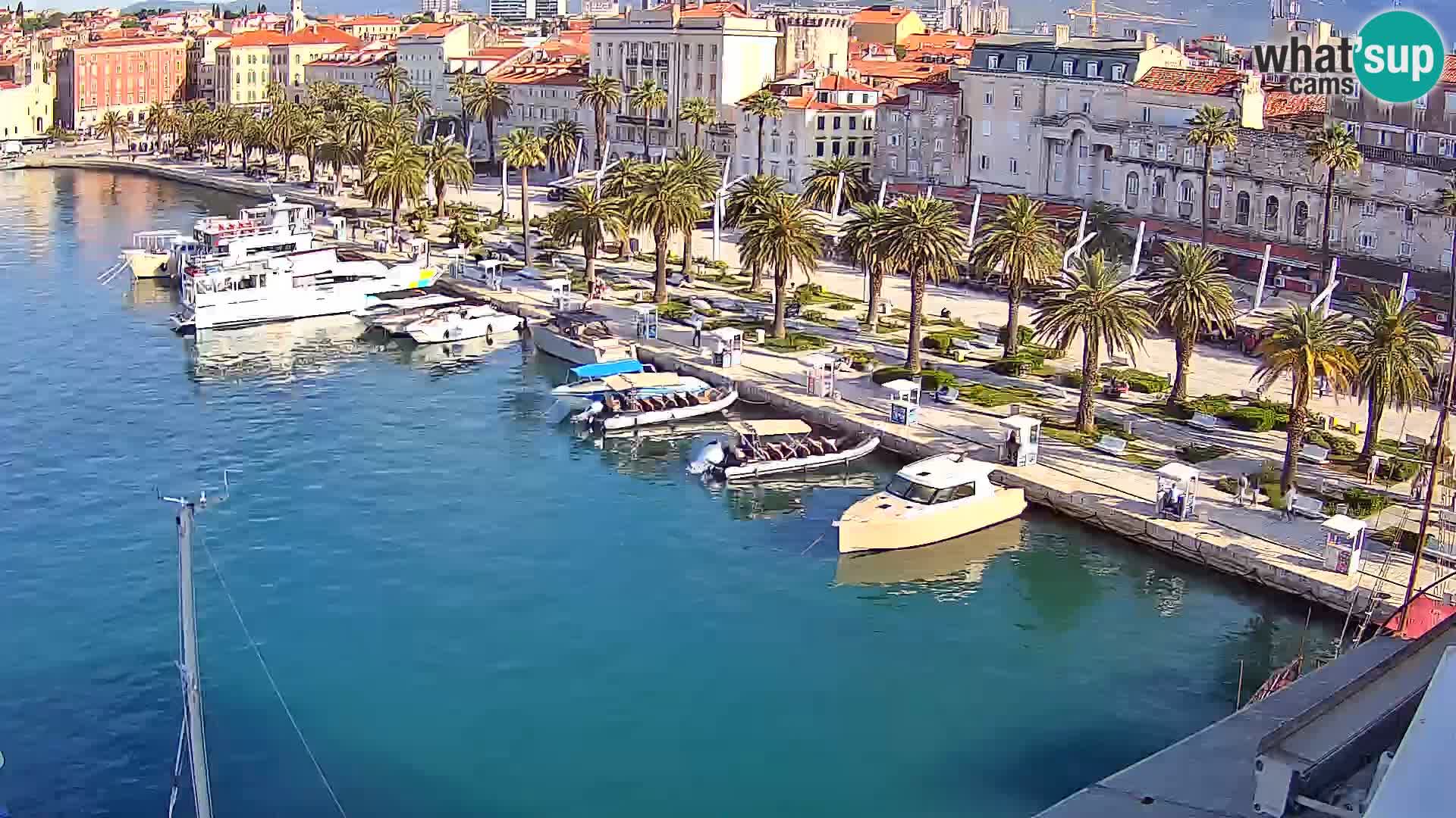 Webcam LIVE Split riva and port
