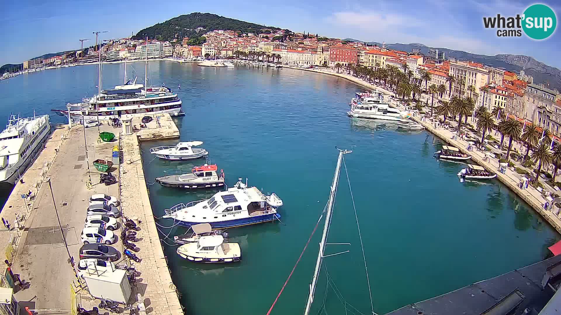 Split panorama en vivo