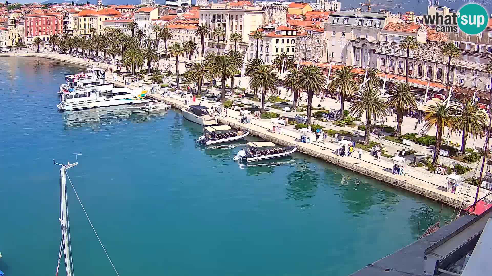 Split livecam panorama