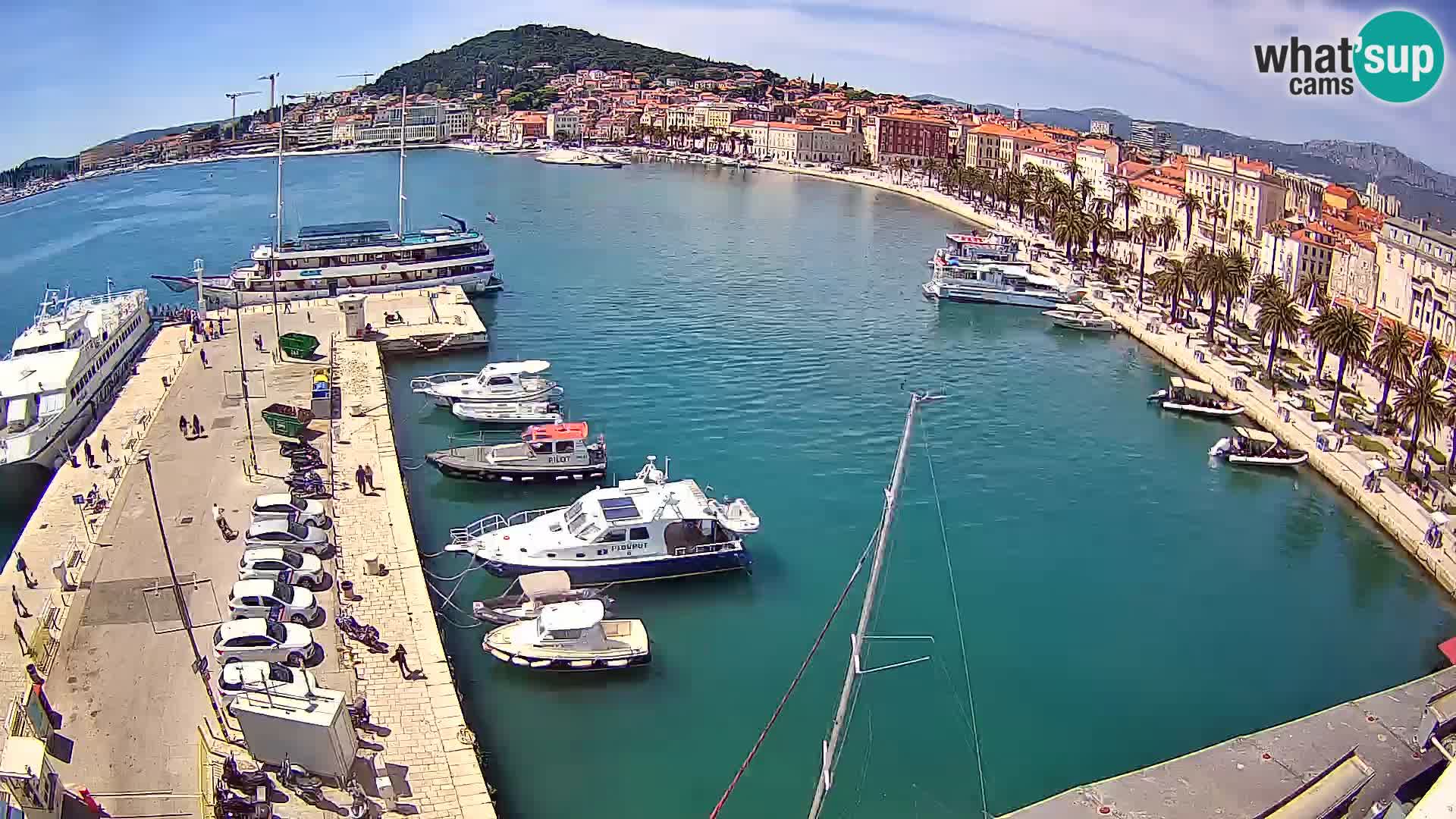 Webcam LIVE Split riva and port