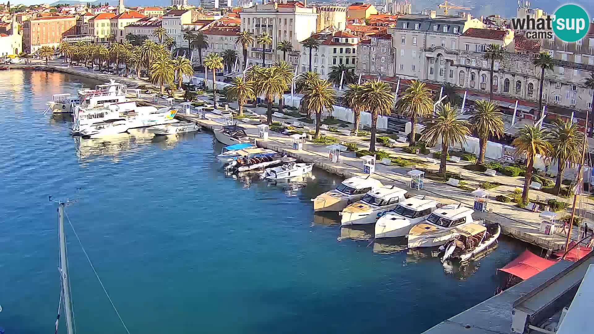 Split panorama en vivo