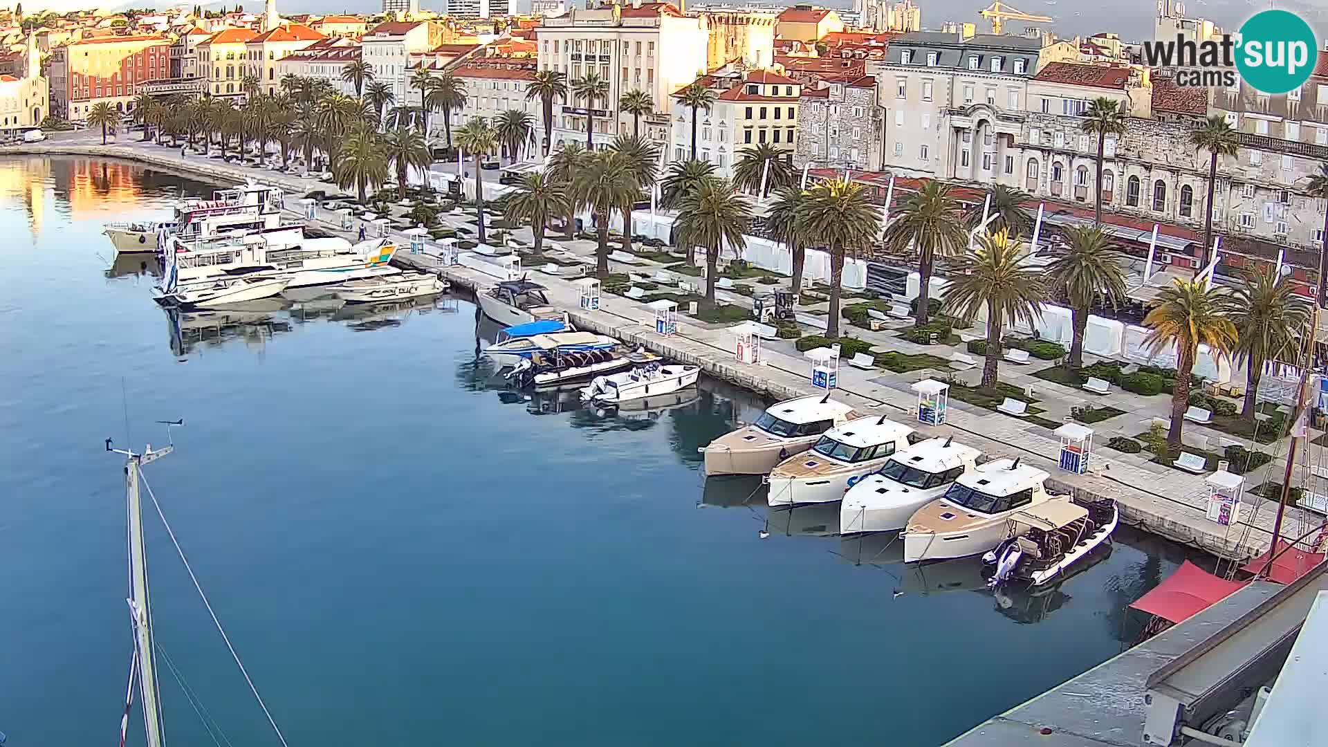 Webcam LIVE Split riva and port