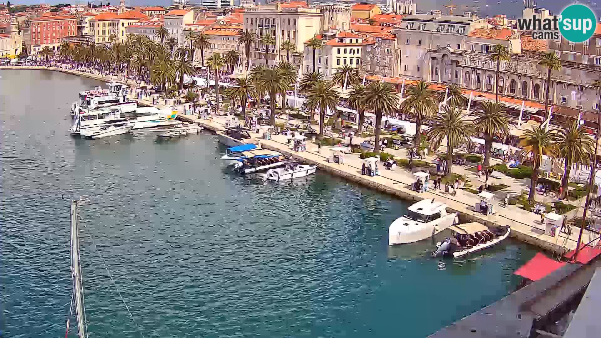 Split panorama en vivo