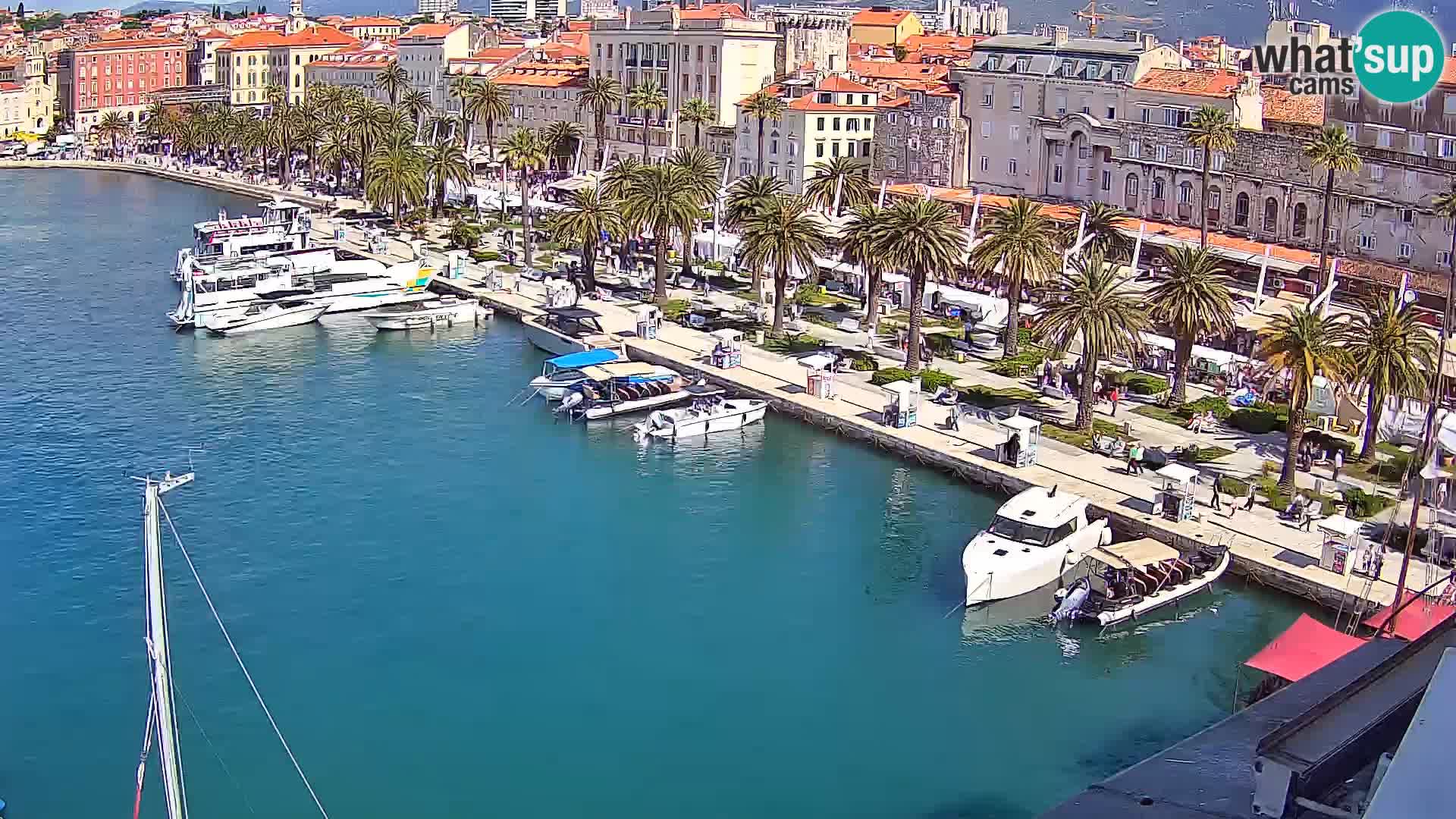 Webcam LIVE Split riva and port