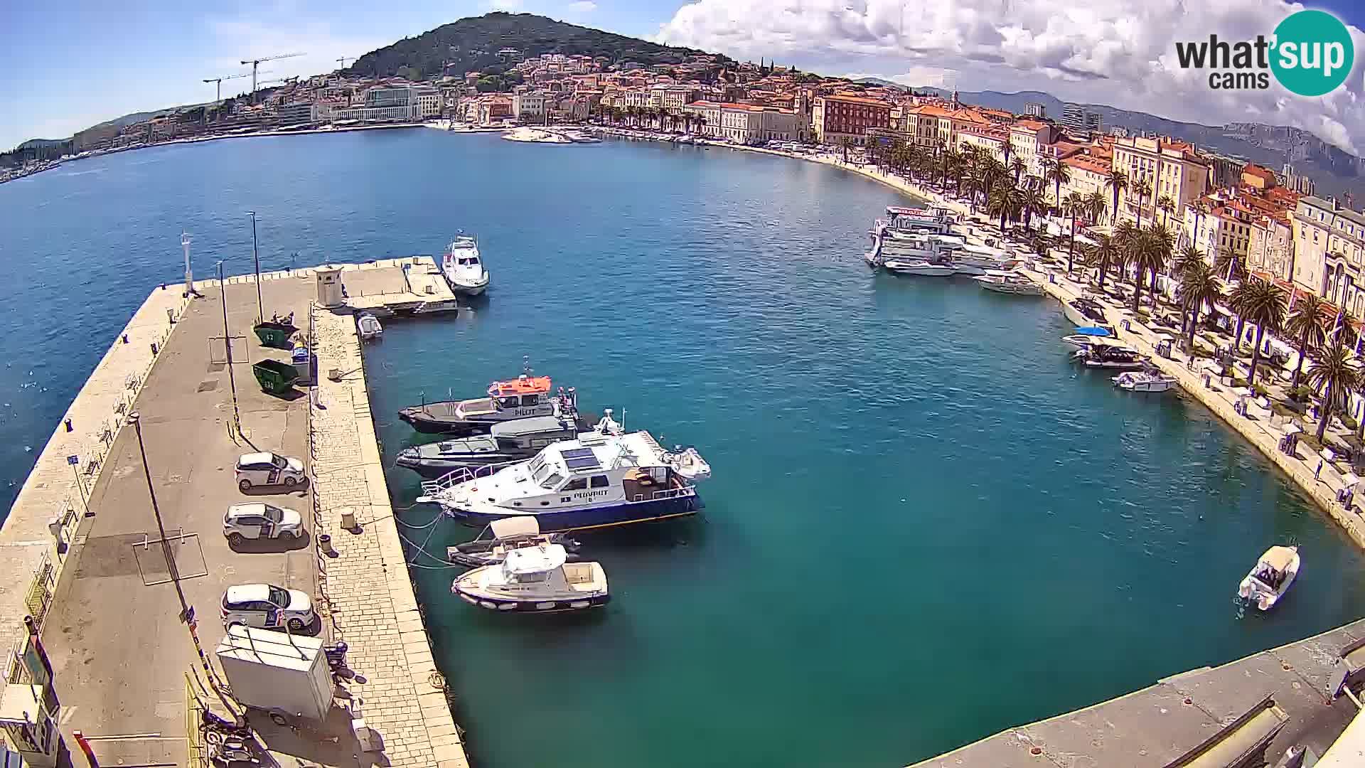 Webcam LIVE Split riva and port