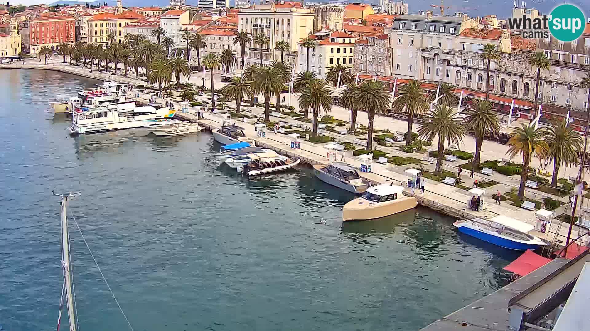 Split v živo panoramska kamera