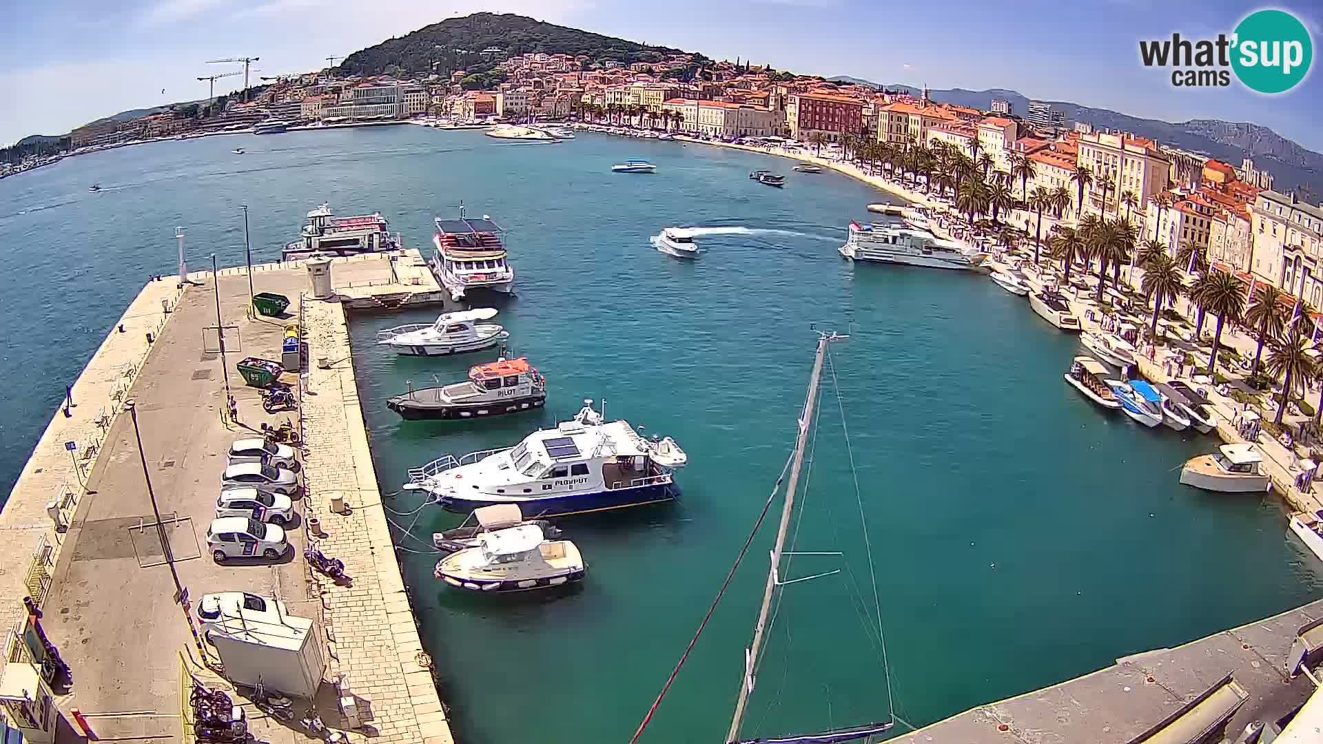 Split v živo panoramska kamera