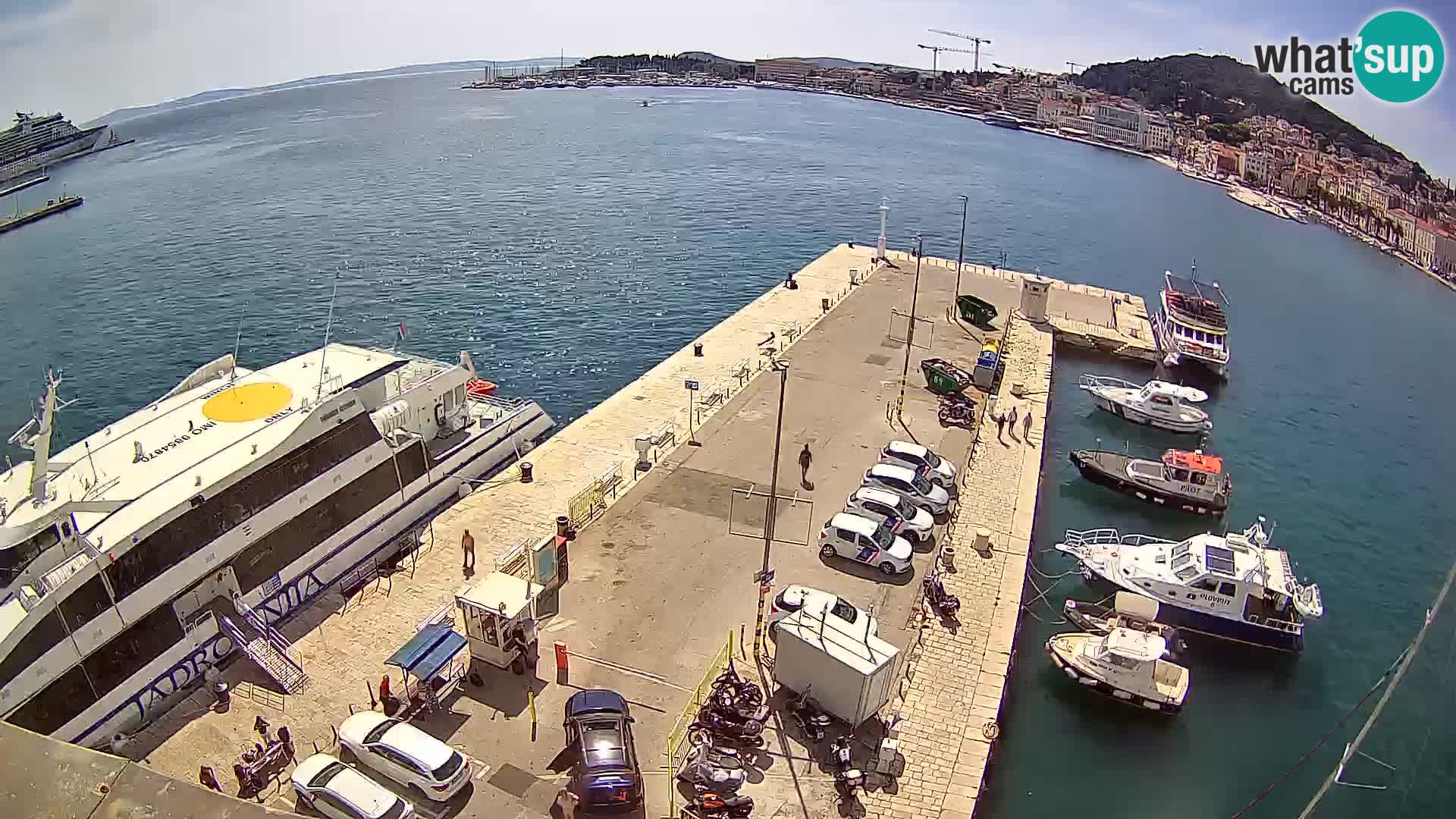 Webcam LIVE Split riva and port