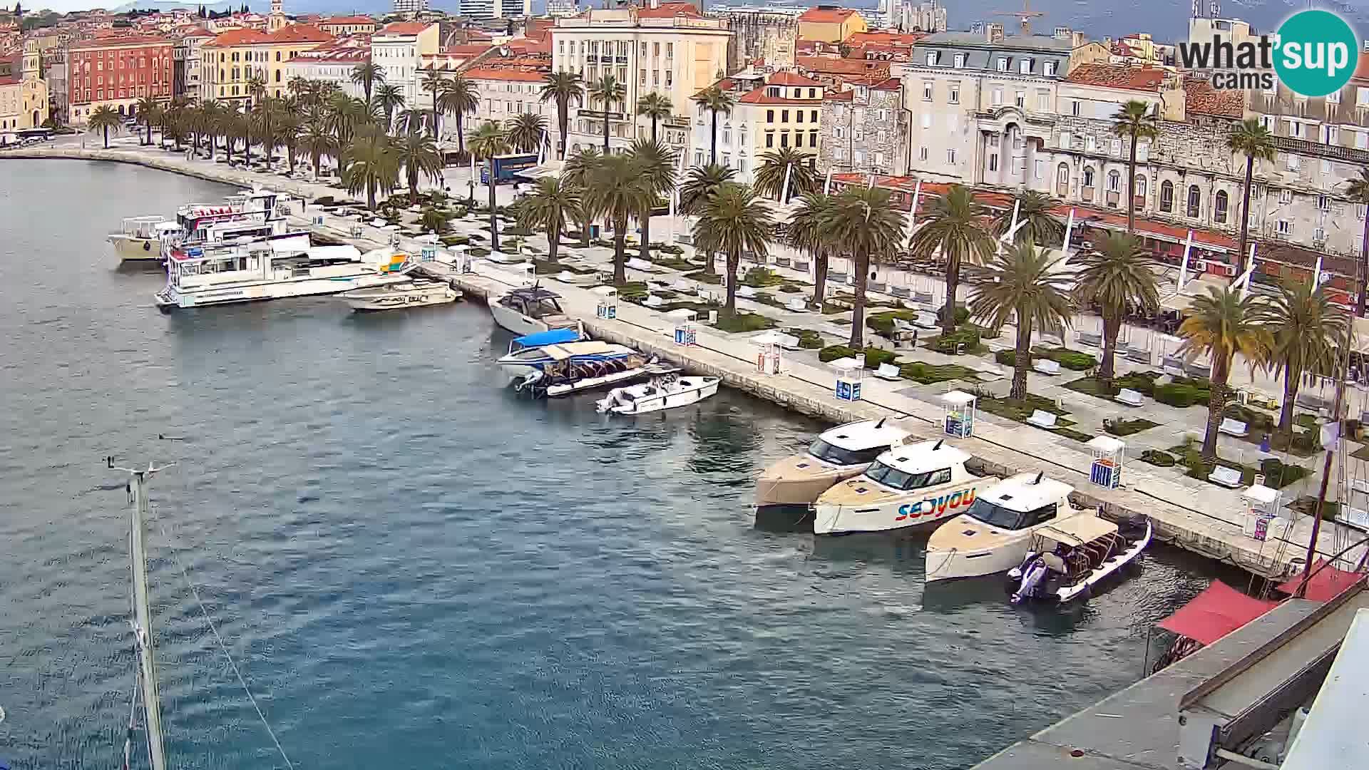 Split v živo panoramska kamera