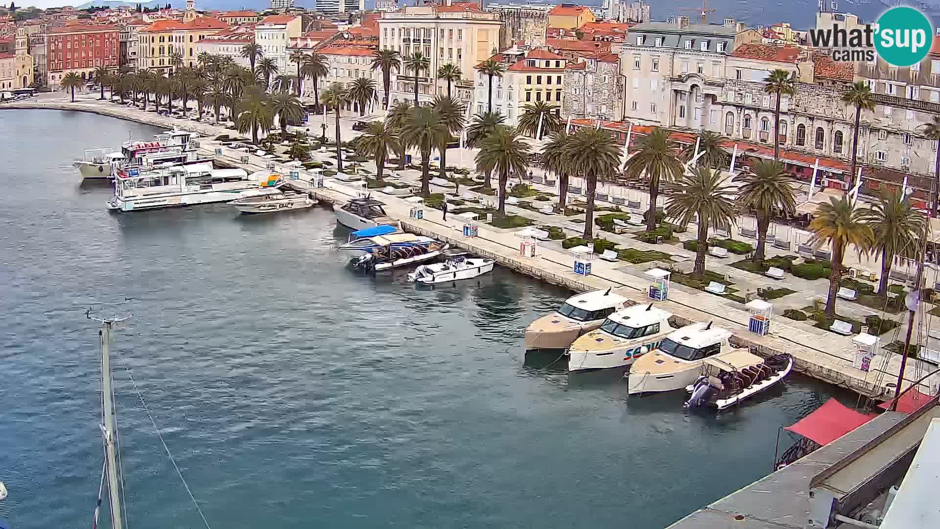 Camera en vivo Split puerto