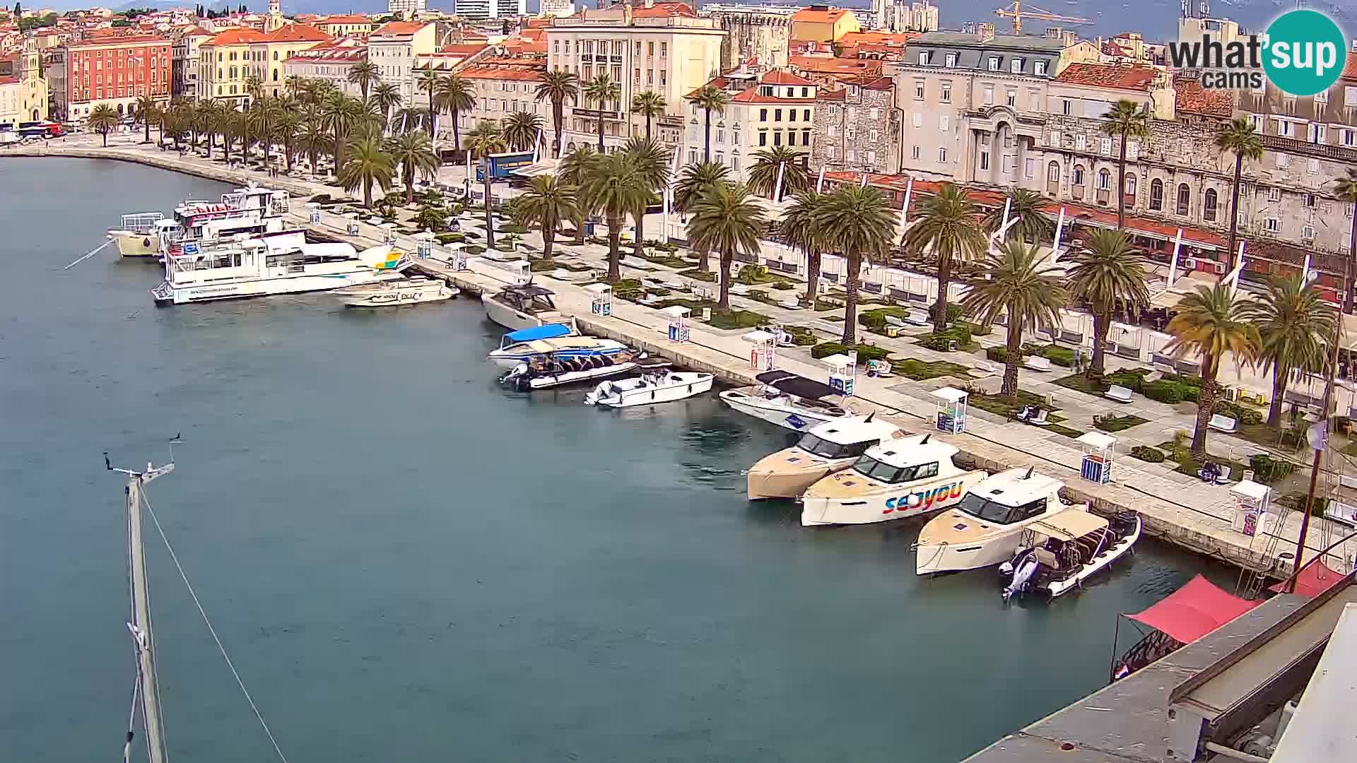 Webcam LIVE Split riva and port
