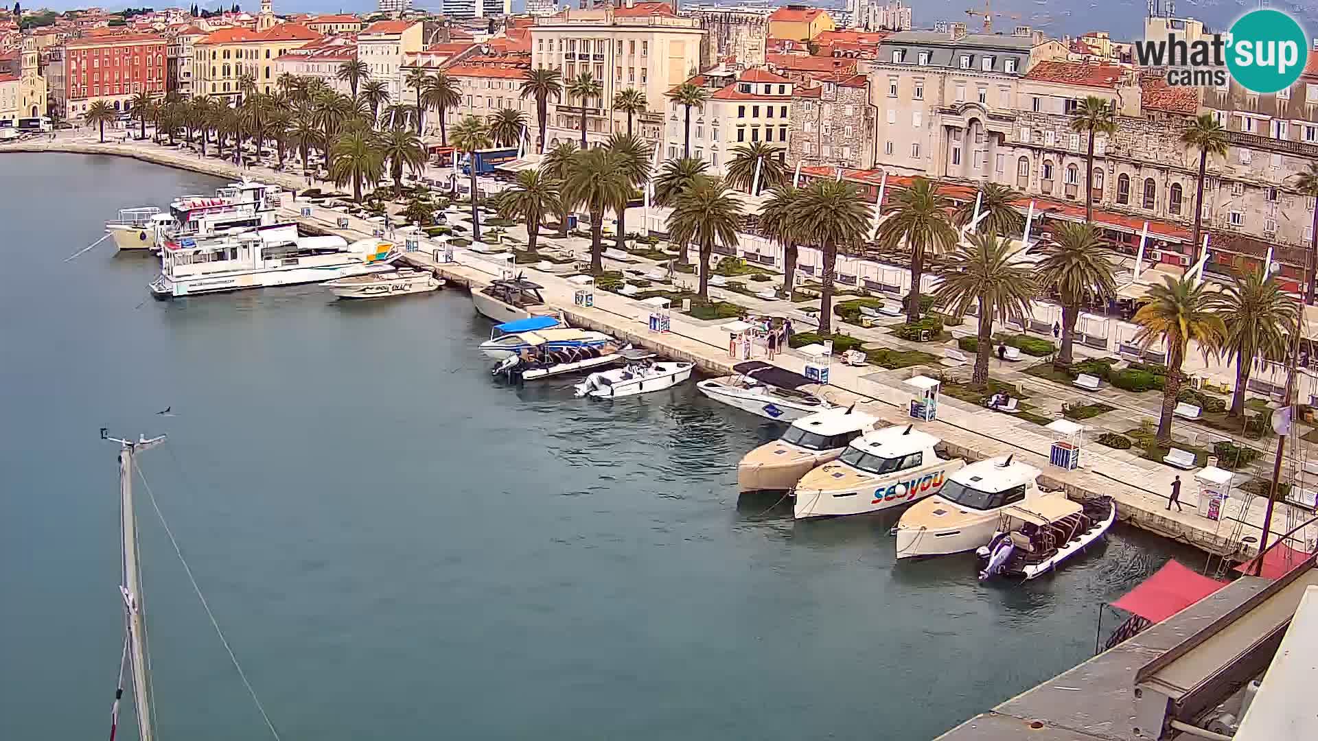 Webcam LIVE Split riva and port