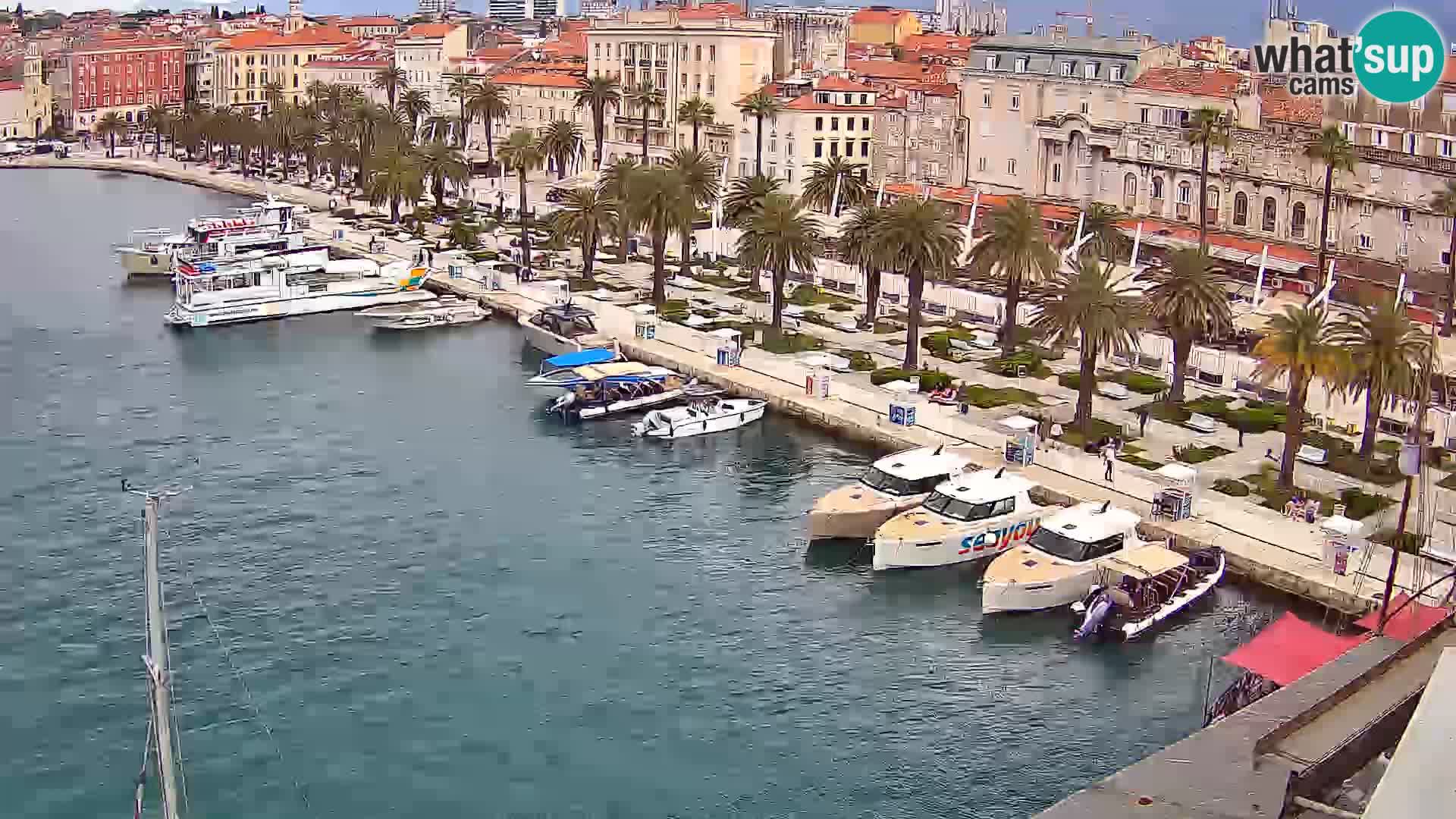 Webcam LIVE Split riva and port