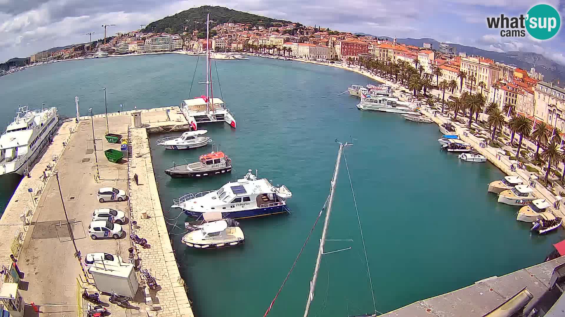 Split livecam panorama