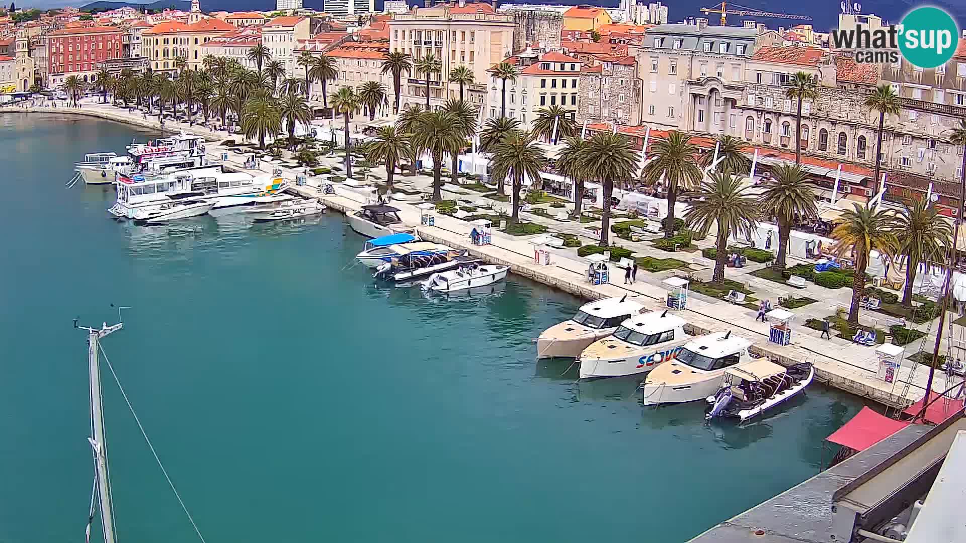 Split livecam panorama
