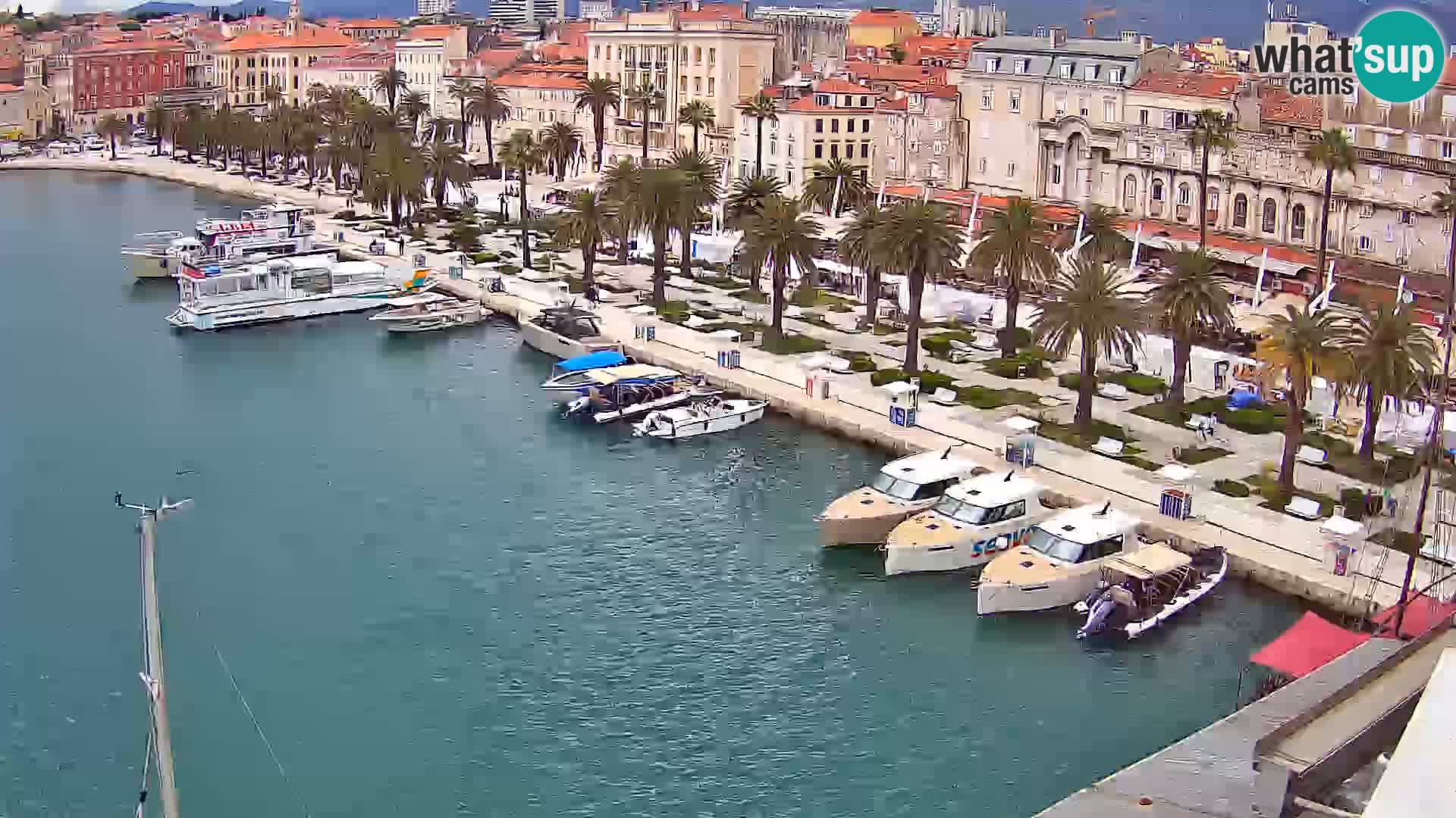 Camera en vivo Split puerto