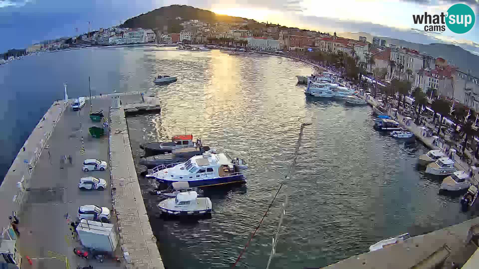 Split panorama en vivo
