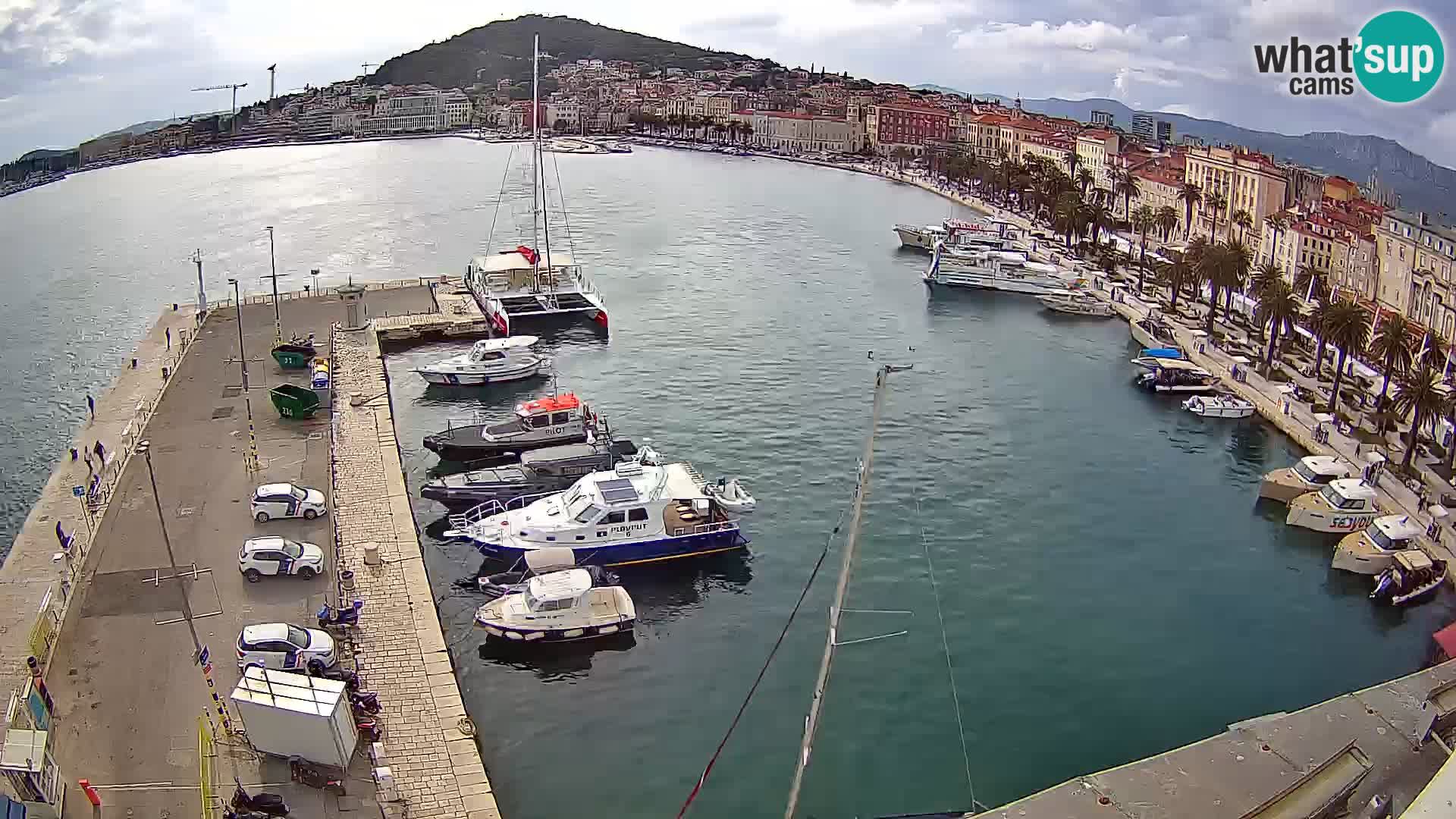 Webcam LIVE Split riva and port