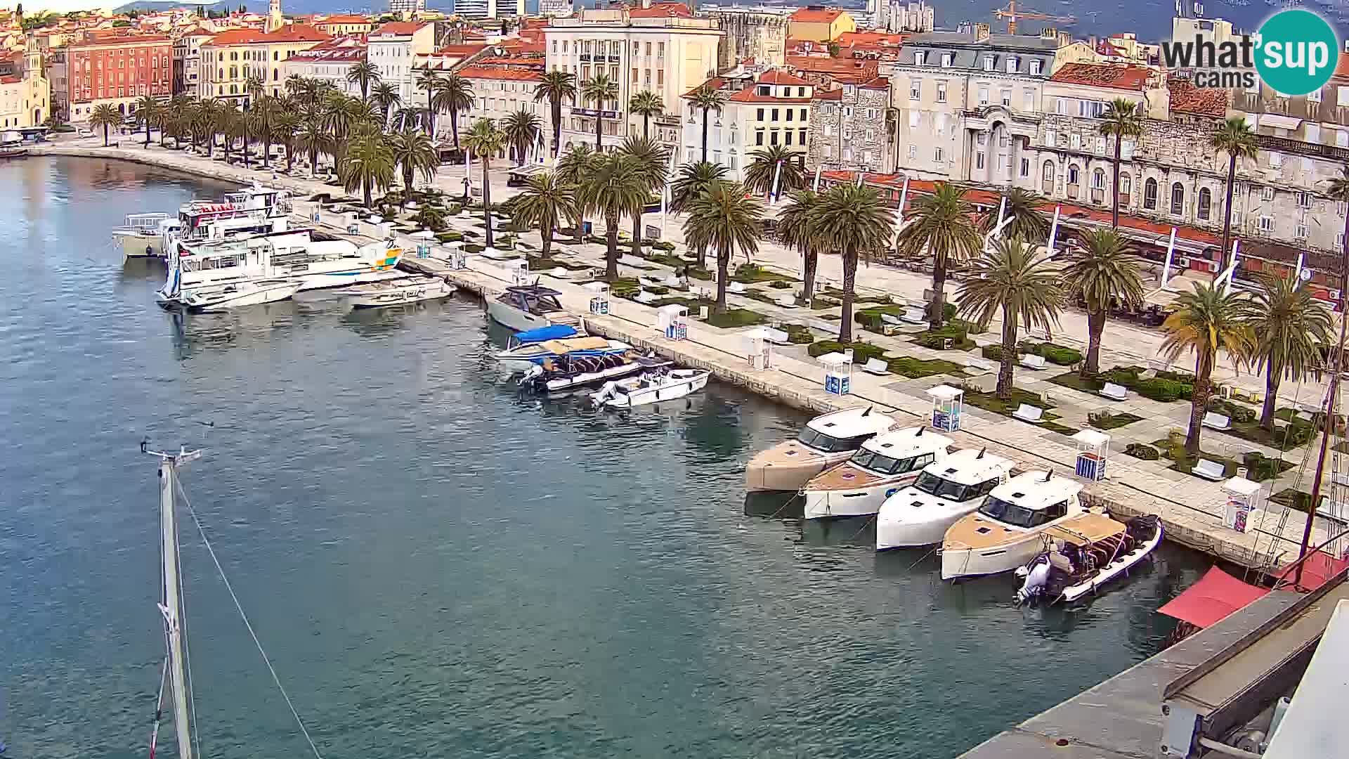Split v živo panoramska kamera
