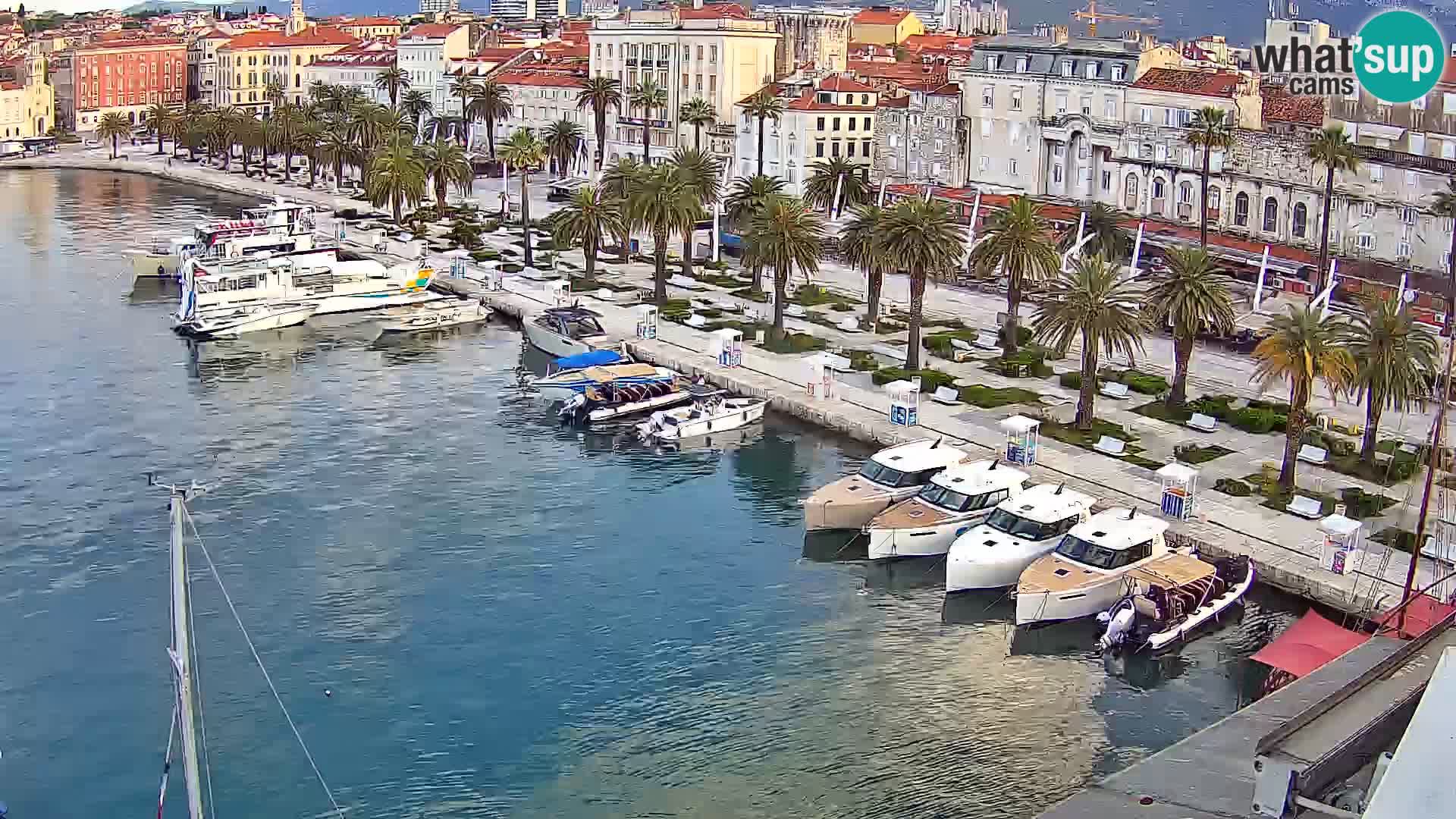 Webcam LIVE Split riva and port