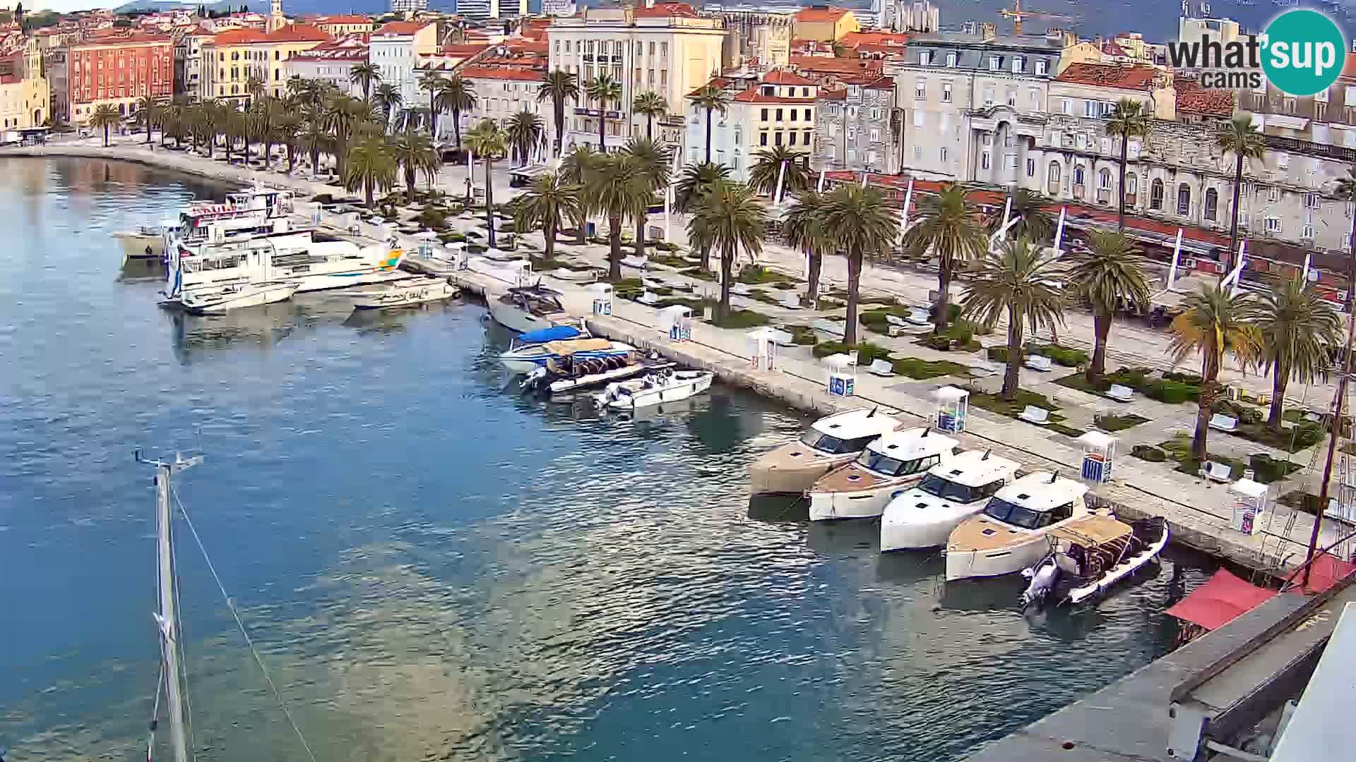 Camera en vivo Split puerto