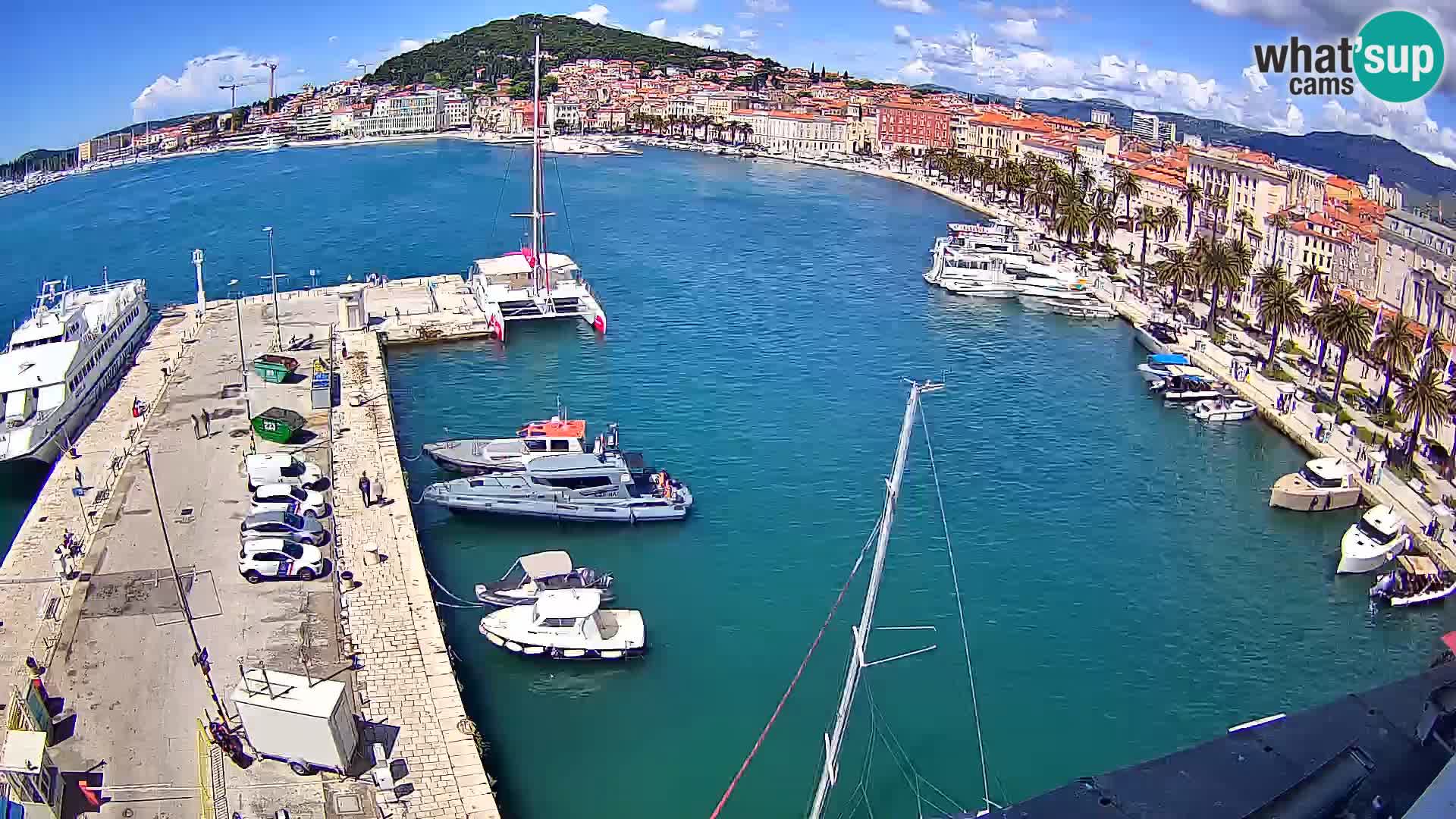 Split panorama en vivo