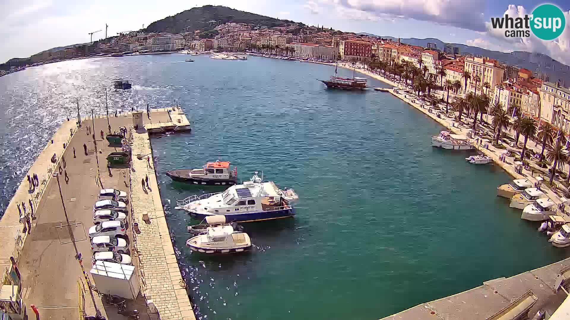 Livecam Split riva