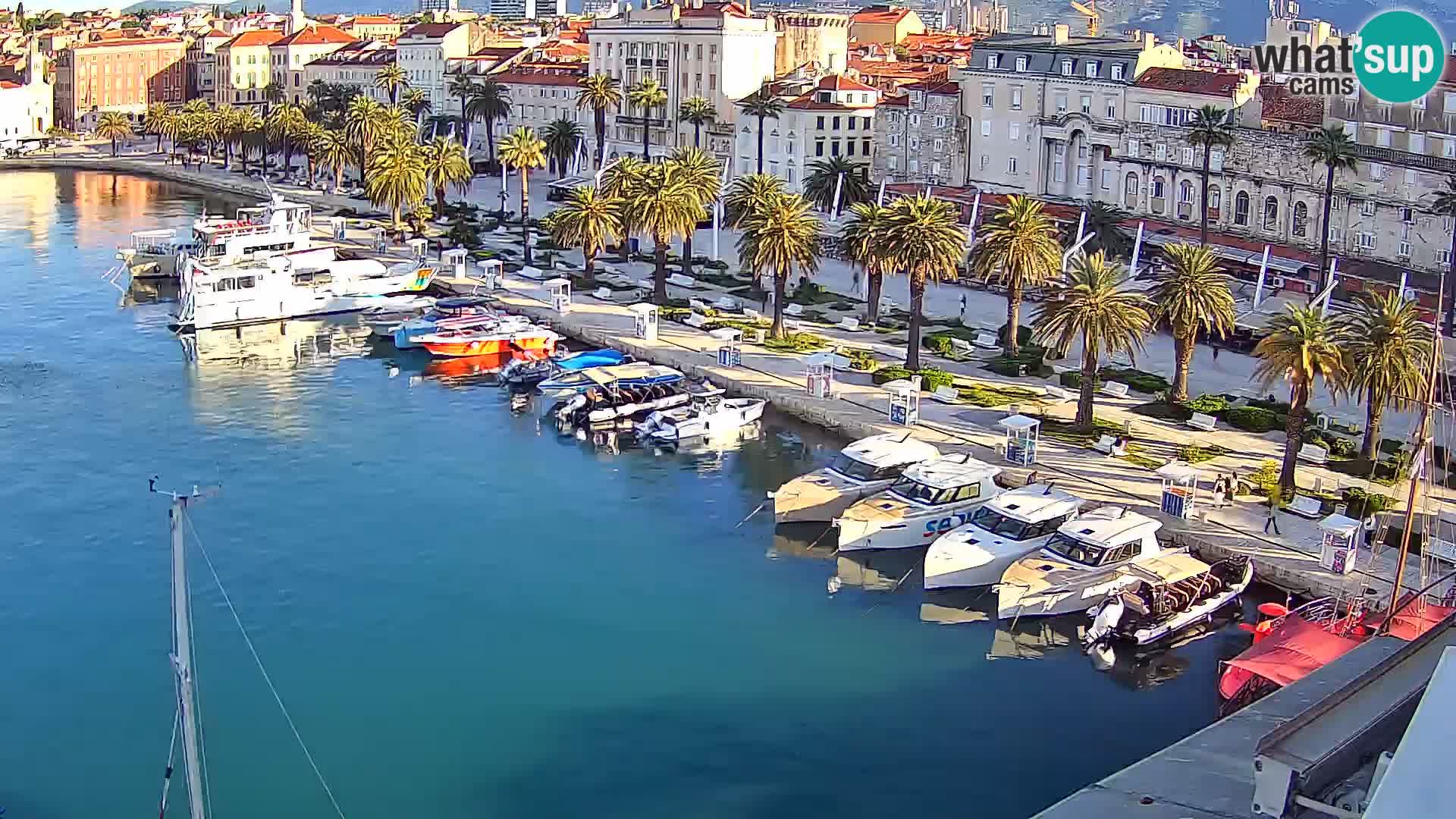 Split v živo panoramska kamera