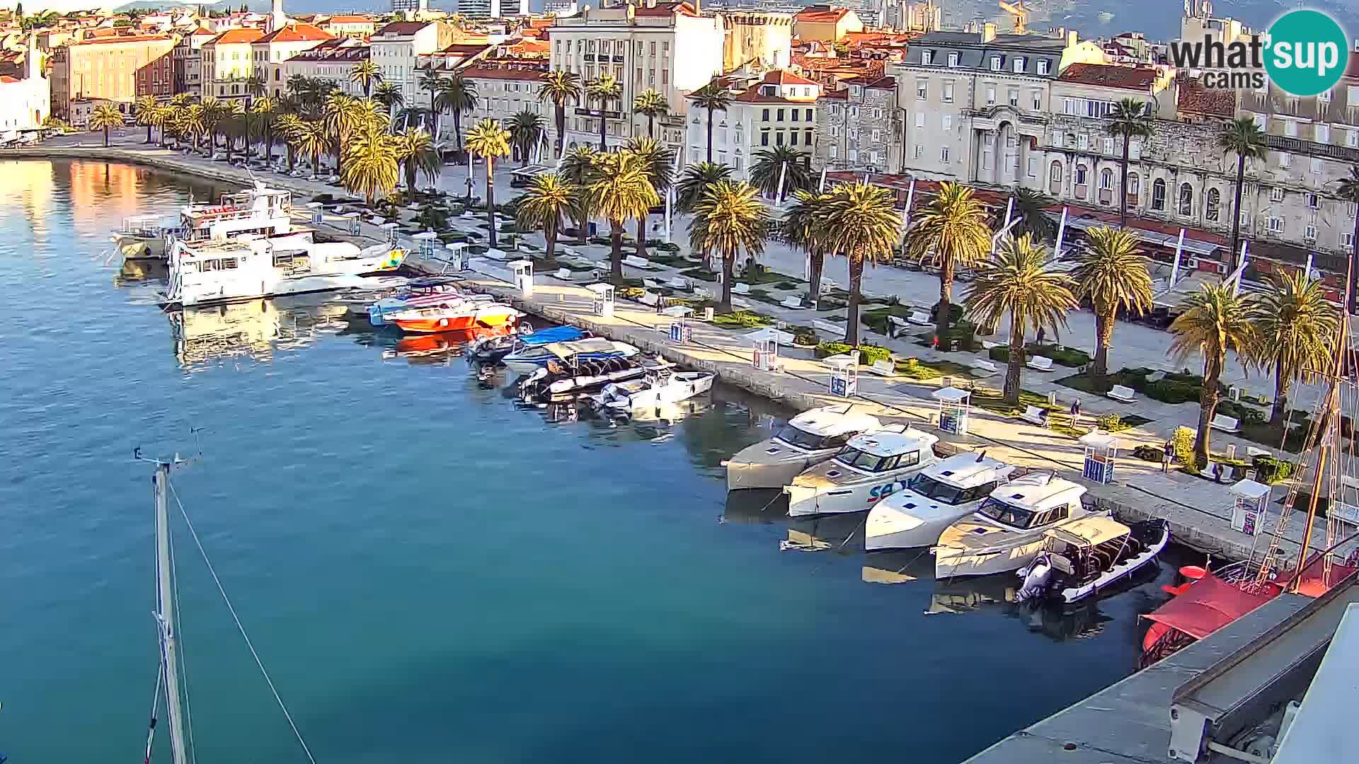 Split livecam panorama