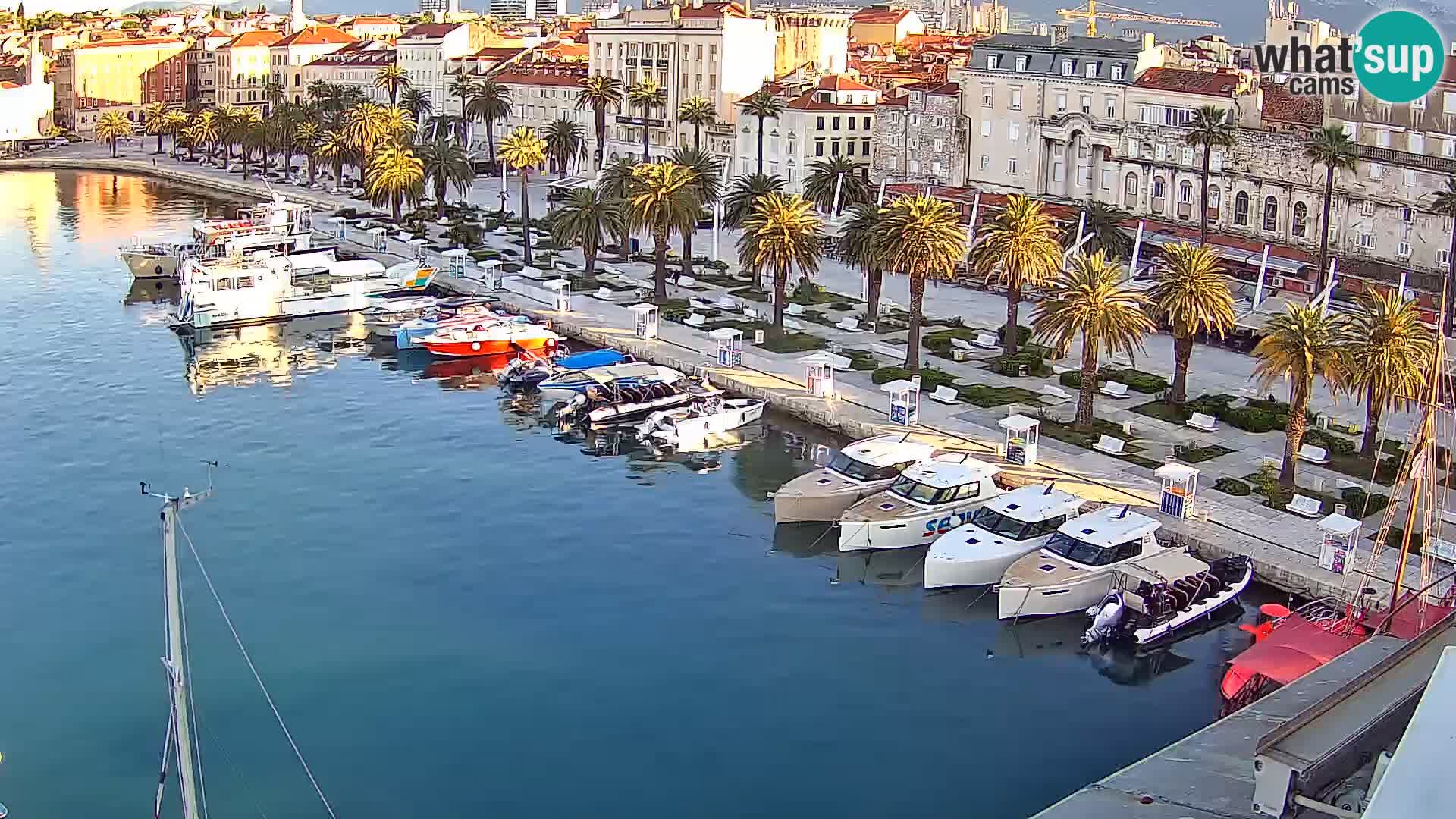 Webcam LIVE Split riva and port