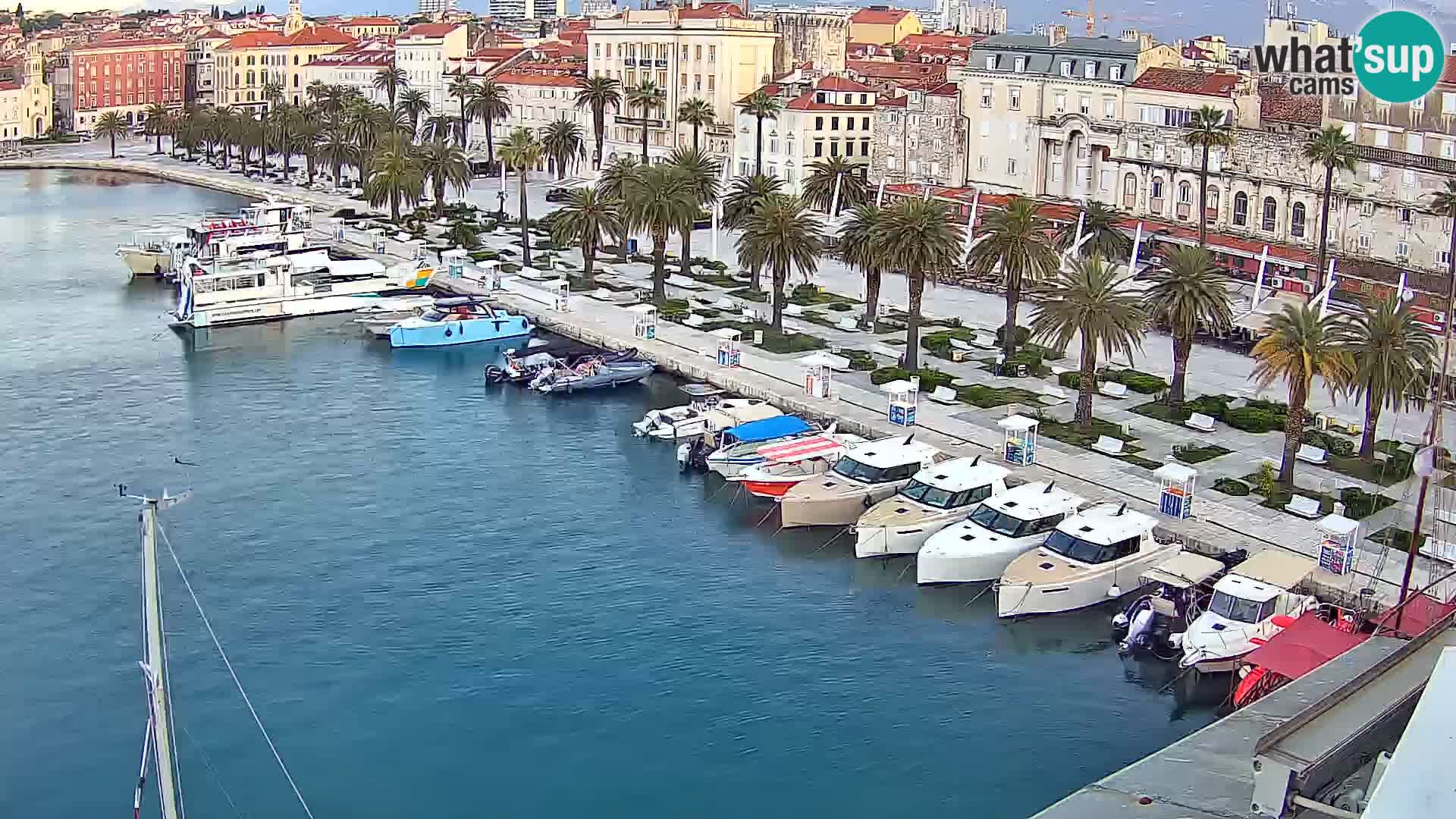 Webcam LIVE Split riva and port