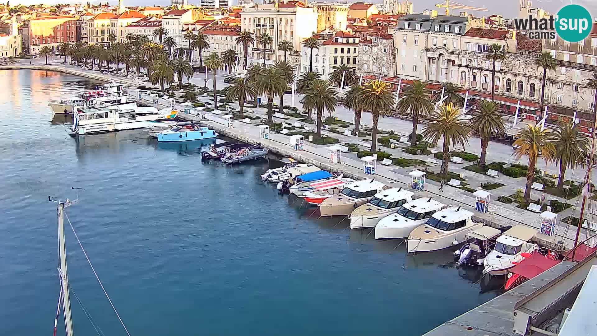 Webcam LIVE Split riva and port
