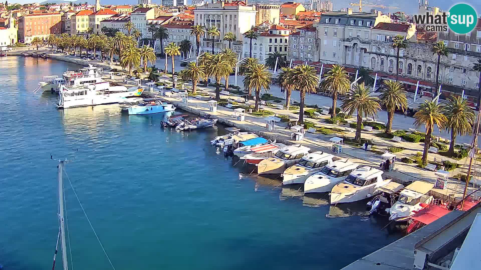 Webcam LIVE Split riva and port