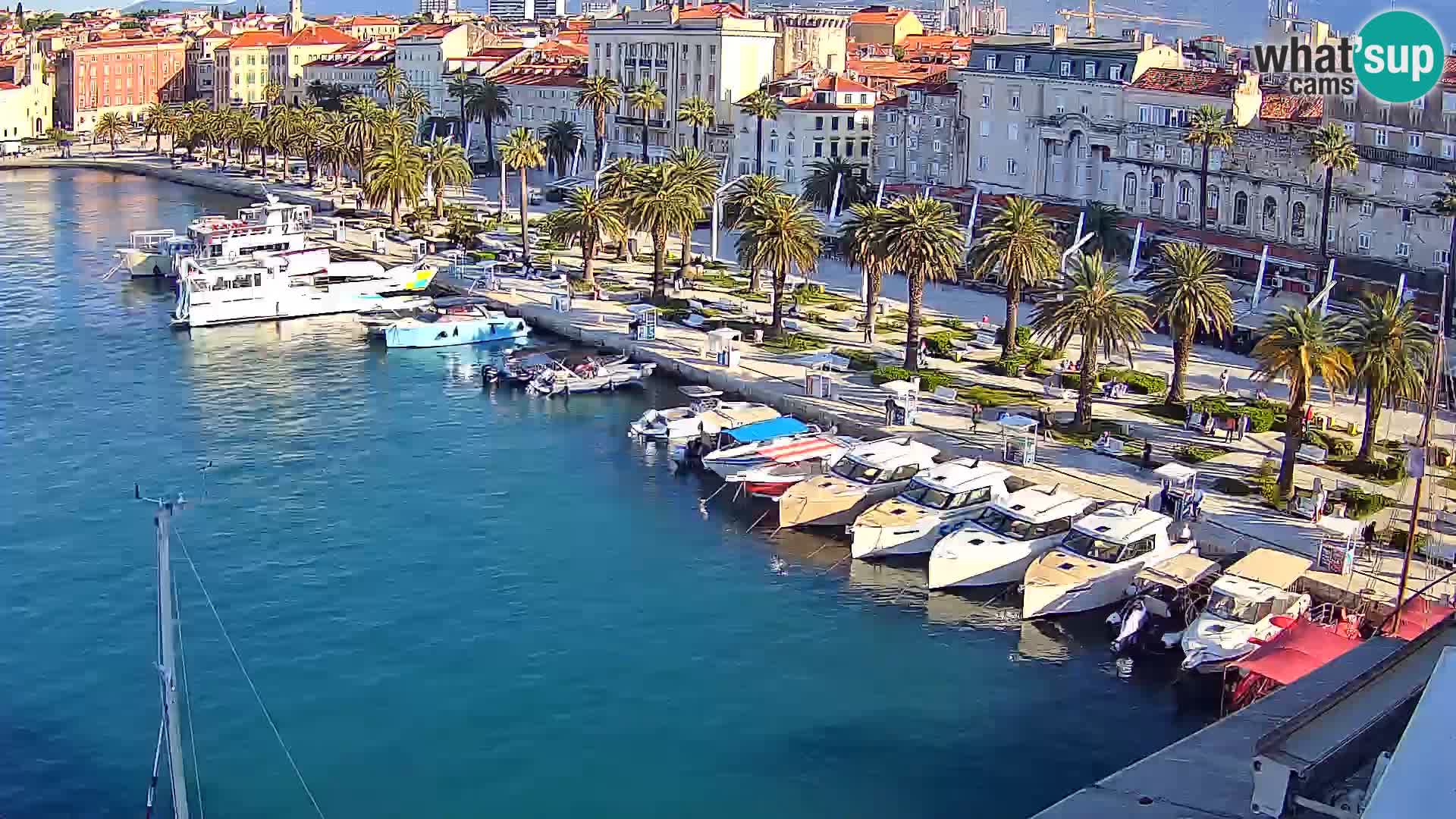 Split panorama en vivo