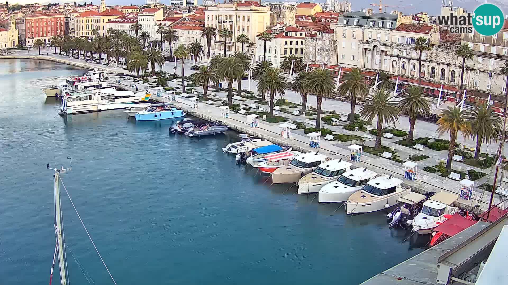 Webcam LIVE Split riva and port