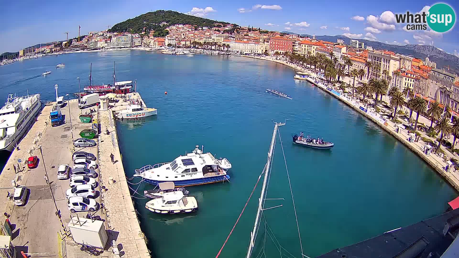 Webcam LIVE Split riva and port