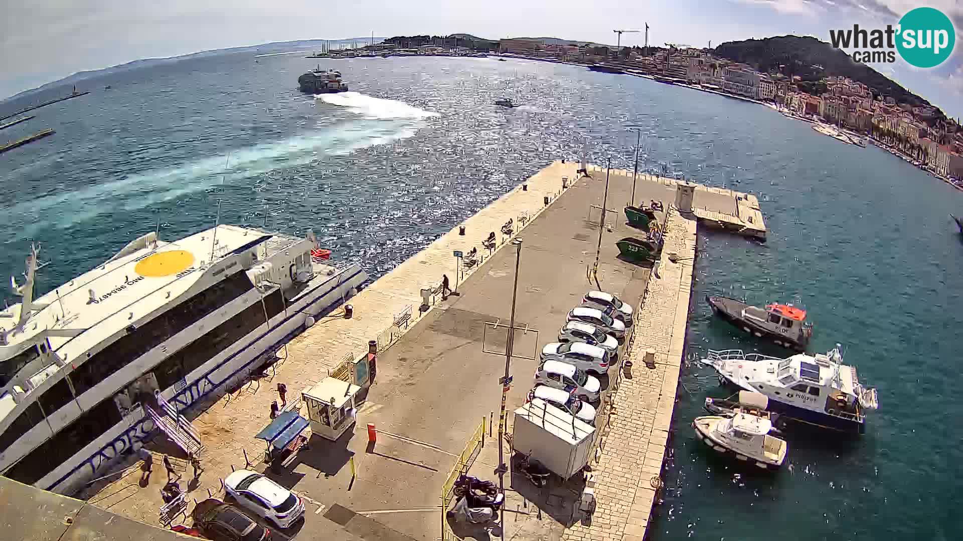 Camera en vivo Split puerto