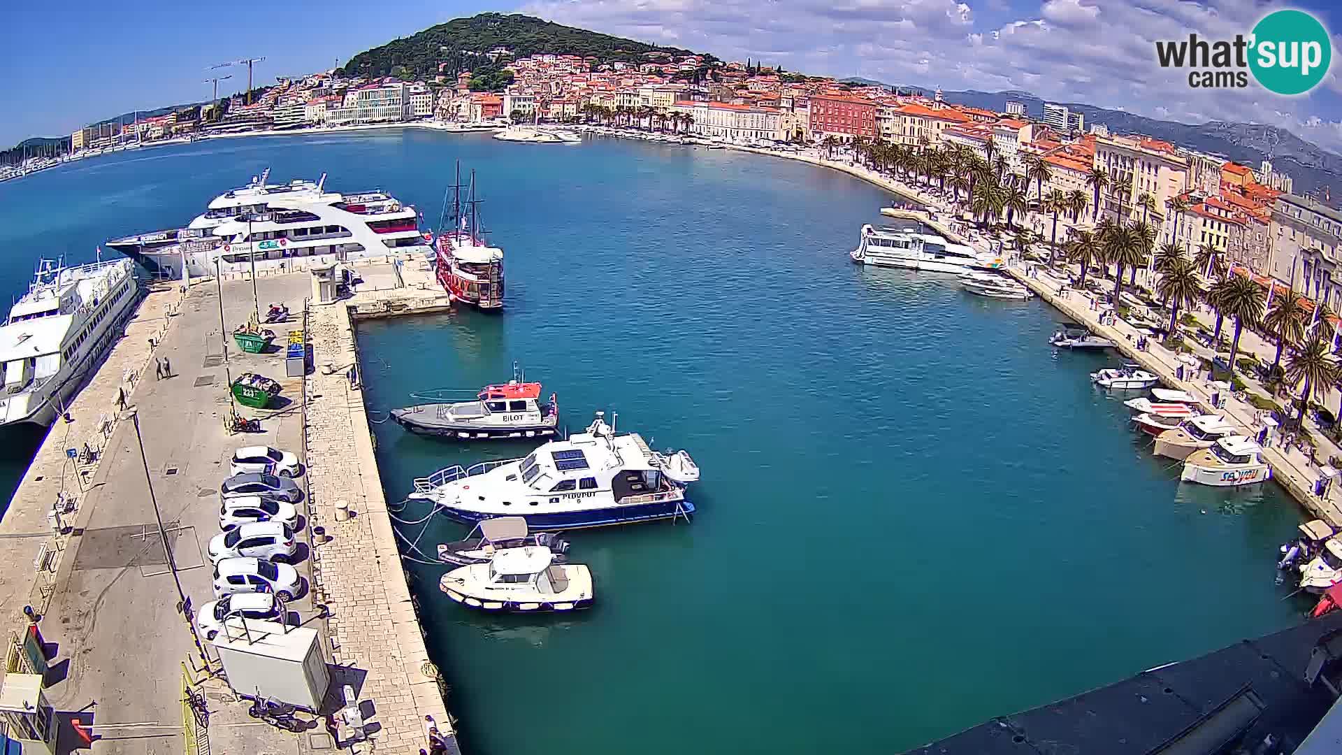 Webcam LIVE Split riva and port