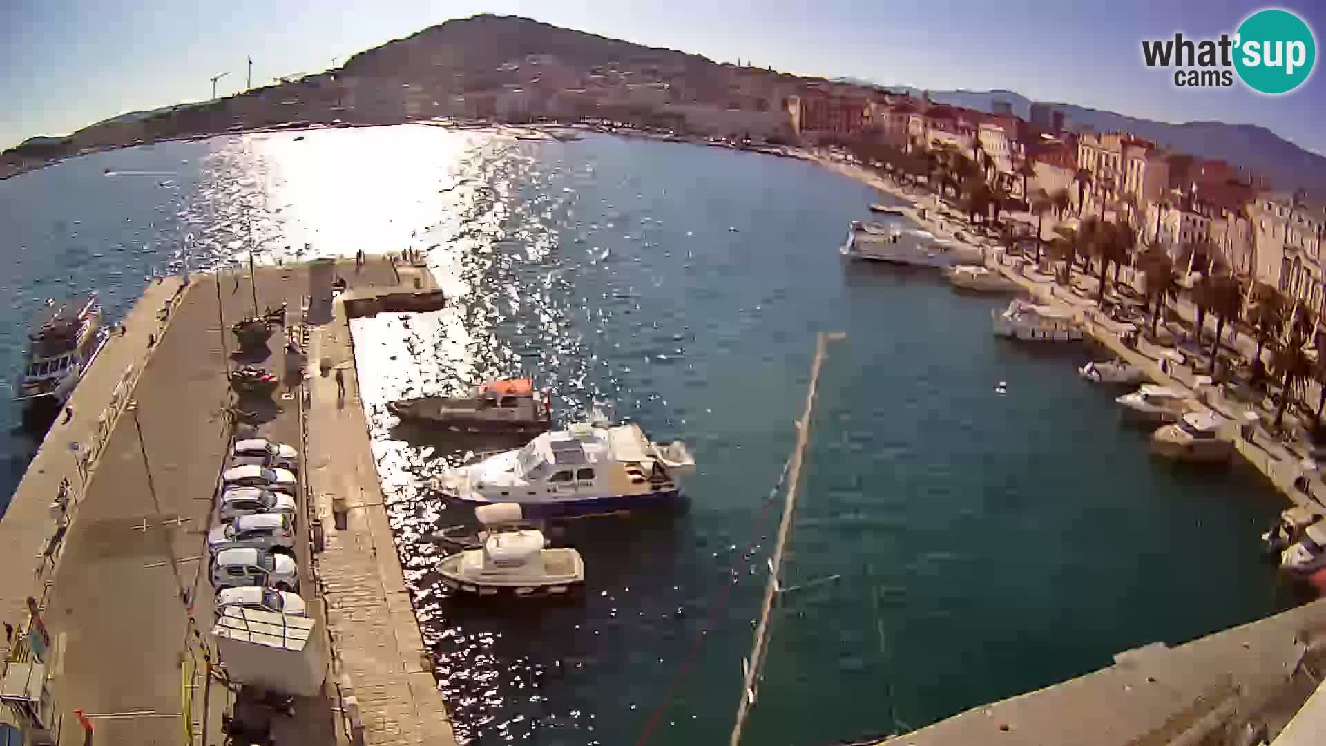 Split Riva Live webcam panorama