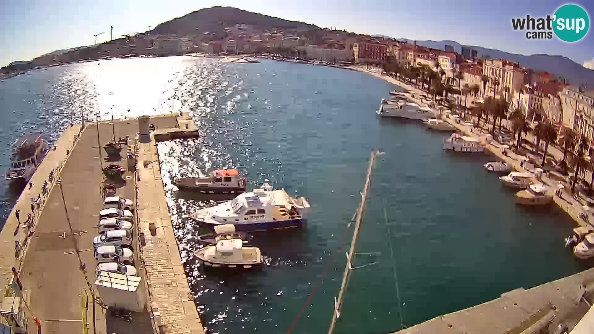 Camera en vivo Split puerto